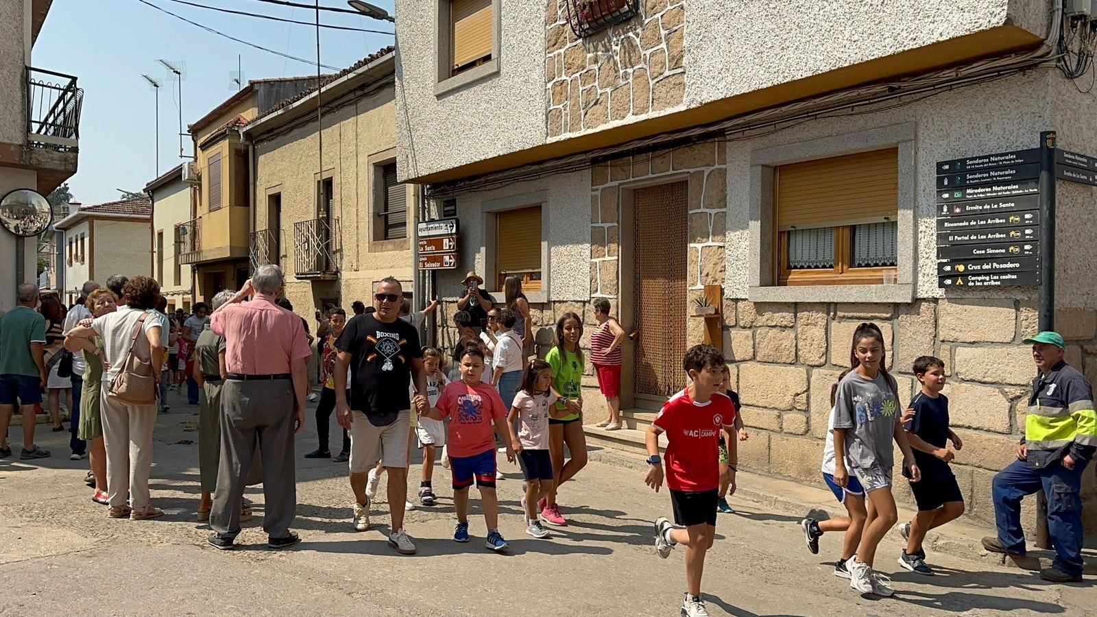 Mini bueyes en Aldeadávila