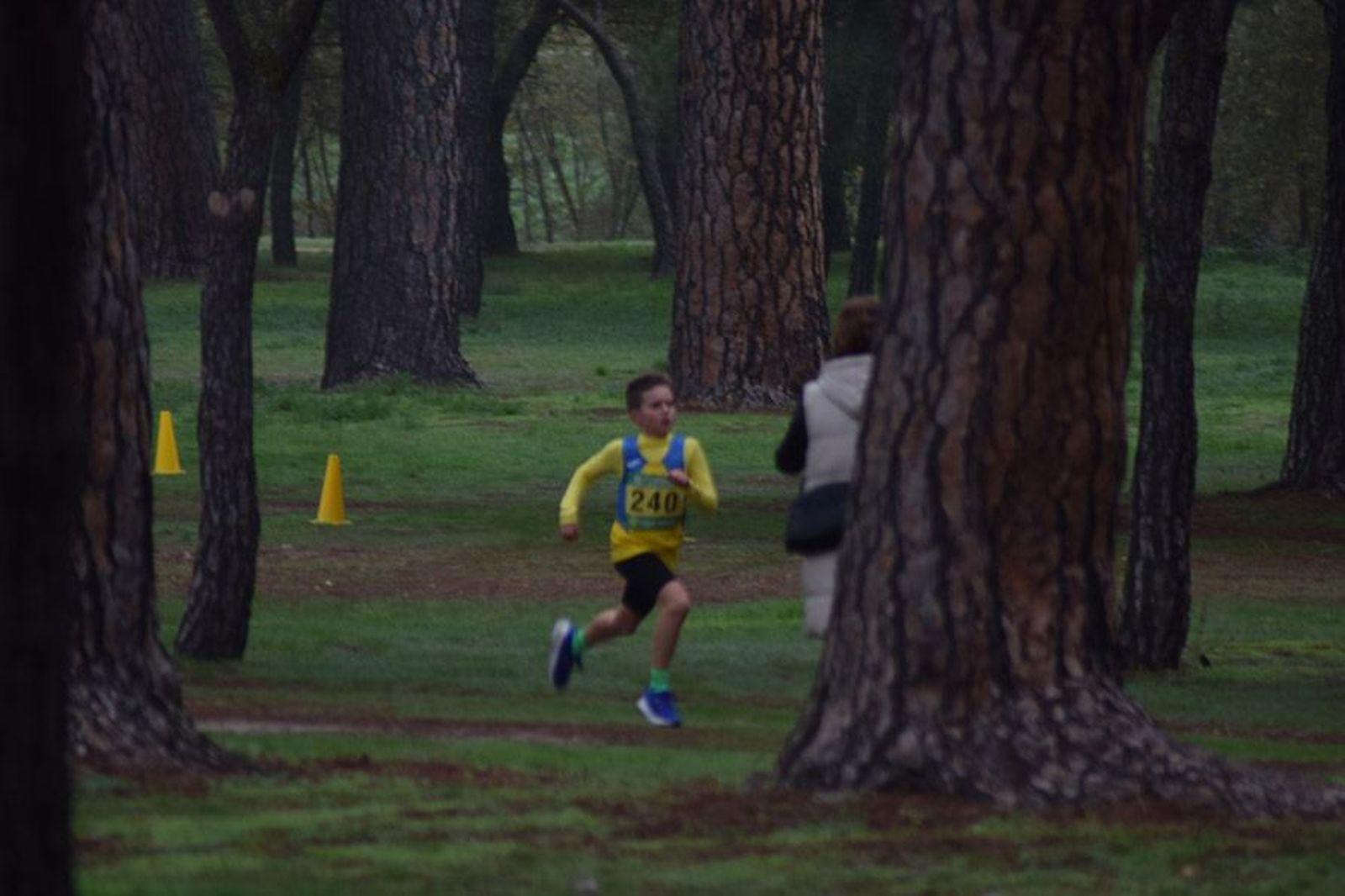 cross-de-otono-en-el-bosque-de-valorio-20