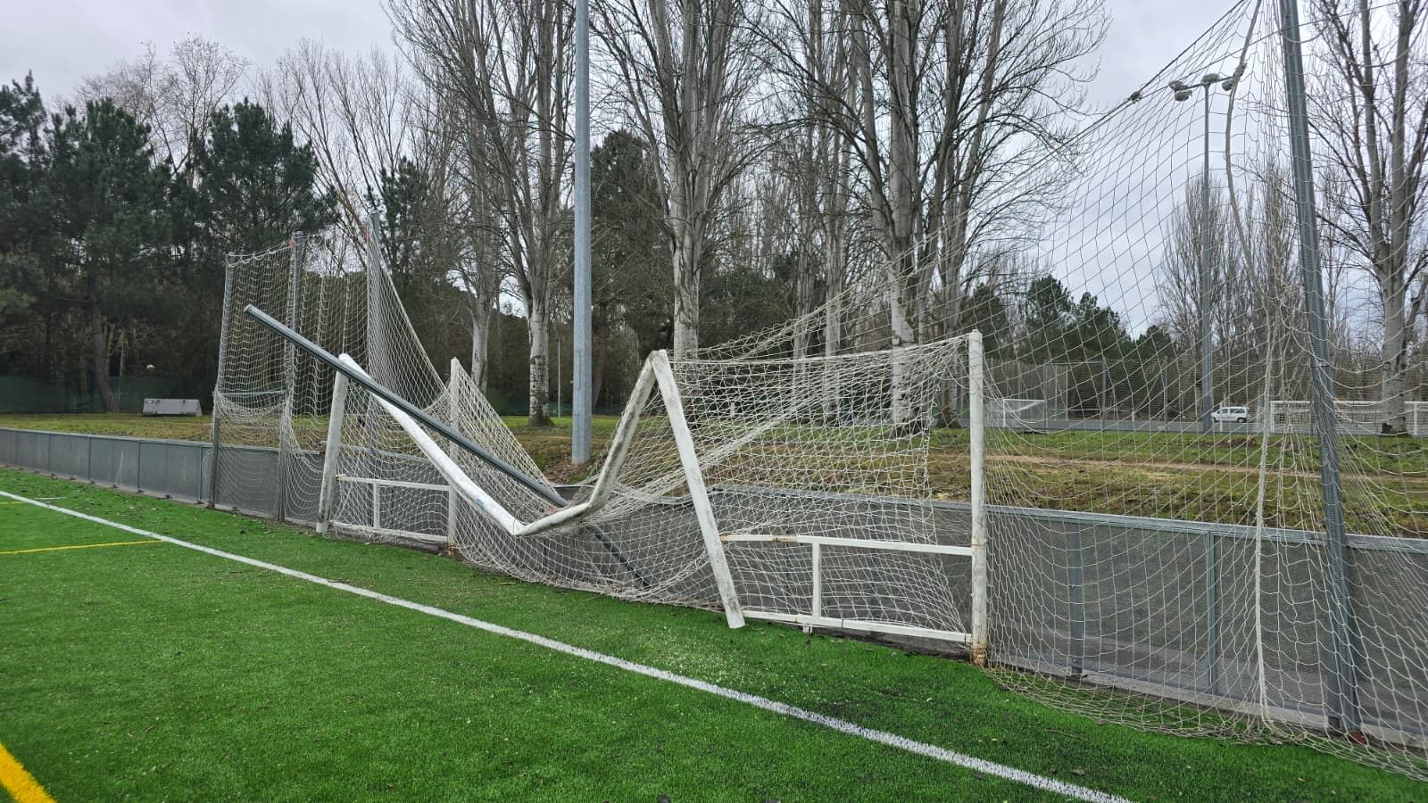 Un árbol de grandes dimensiones cae sobre una de las porterías de La Aldehuela