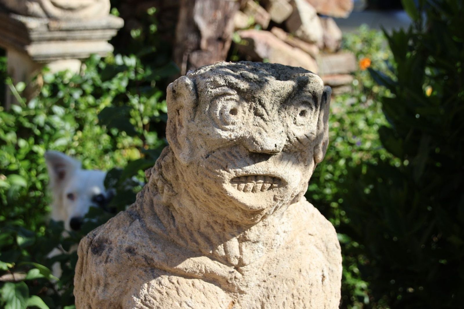 20230614092316-img-2646