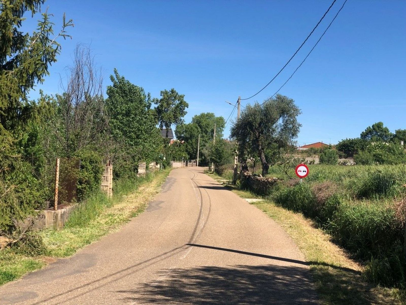 Carretera Nuez de Aliste