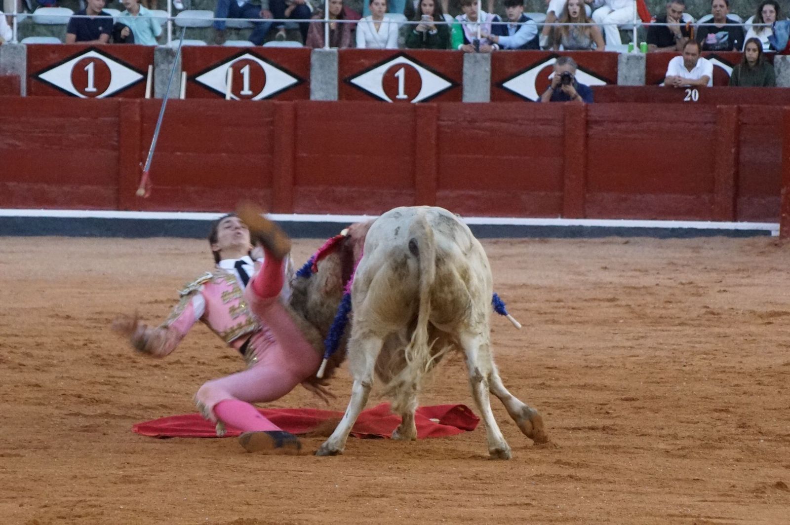 whatsapp-image-2022-09-08-at-9-22-07-pm-2