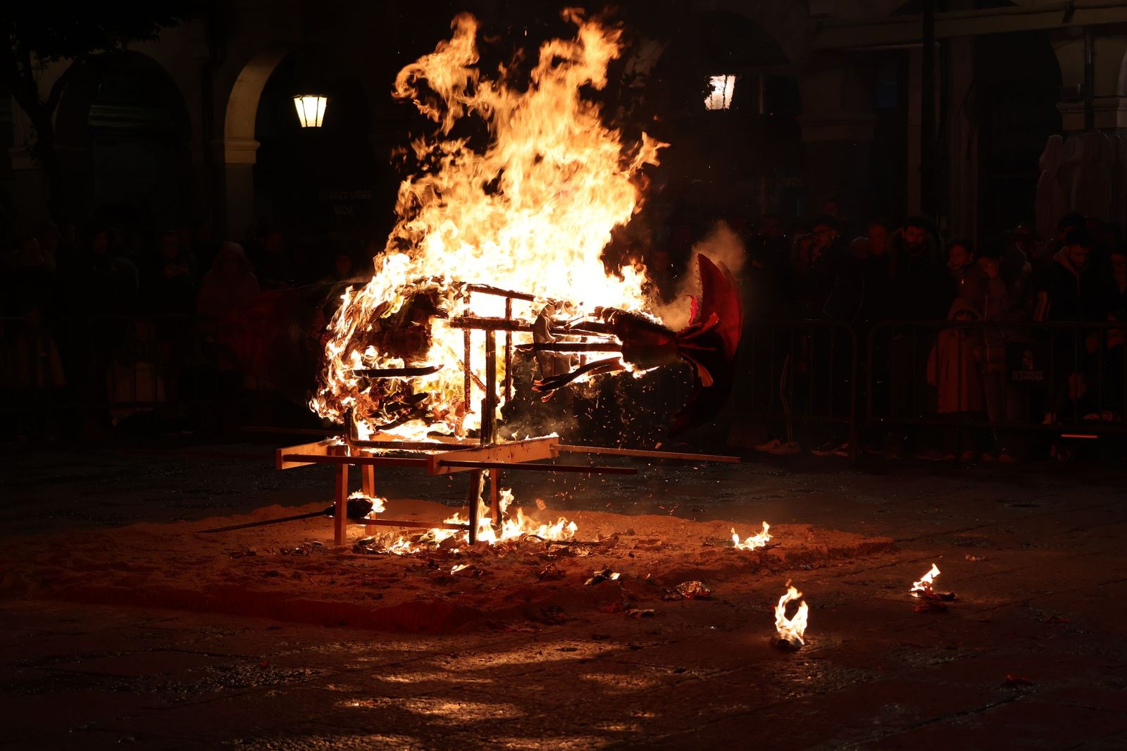 GALERÍA | Entierro de la sardina Zamora 2026