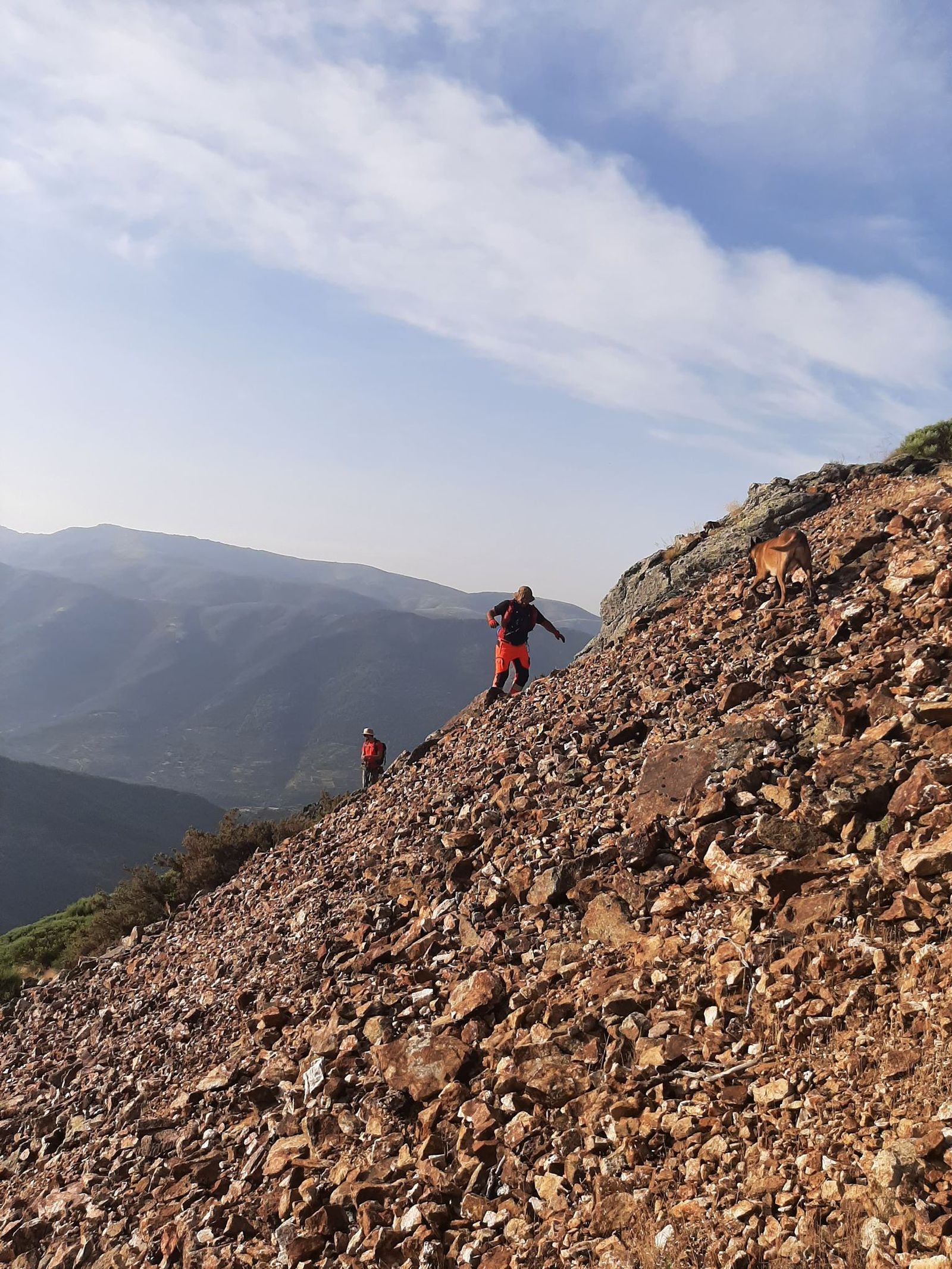 whatsapp-image-2025-06-22-at-18-54-28-1