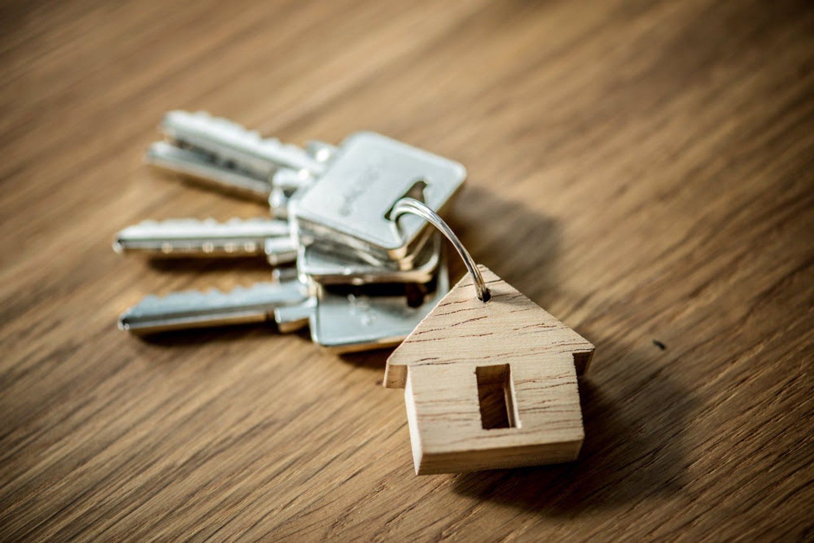 4 de cada 10 viviendas se compraron al contado en el 2023, según Pisos.Com PISOS.COM 4 de cada 10 viviendas se compraron al contado en el 2023, según Pisos.Com PISOS.COM