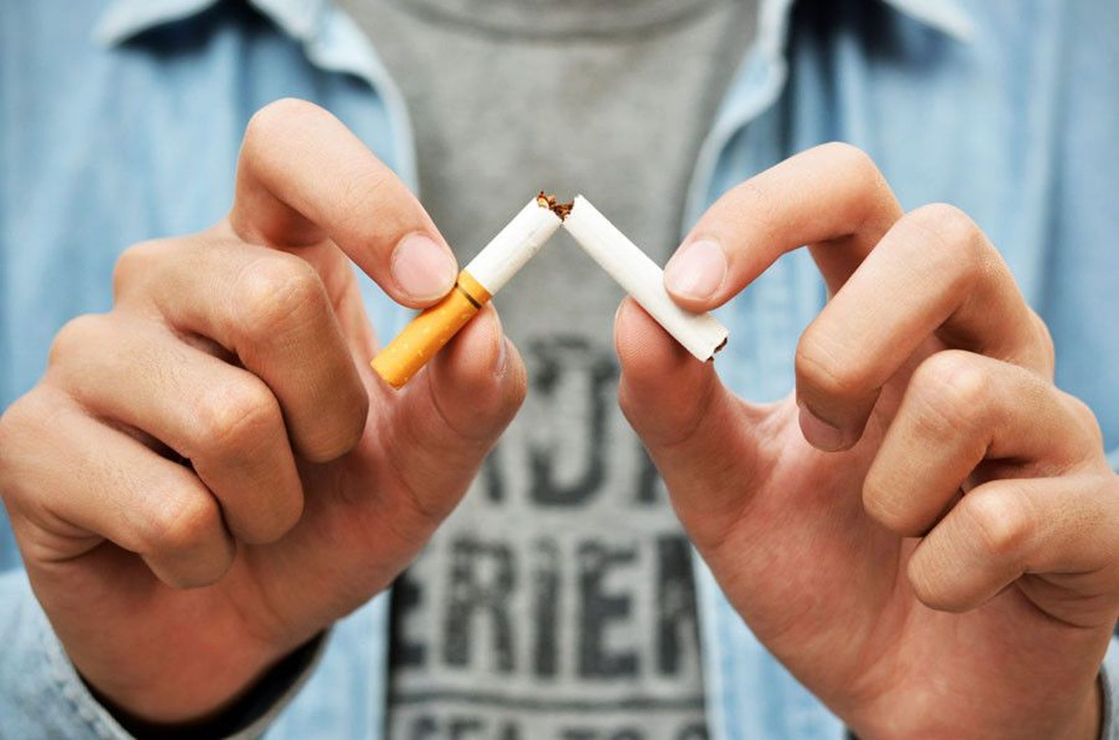 Declarados espacios sin humo Declarados espacios sin humo