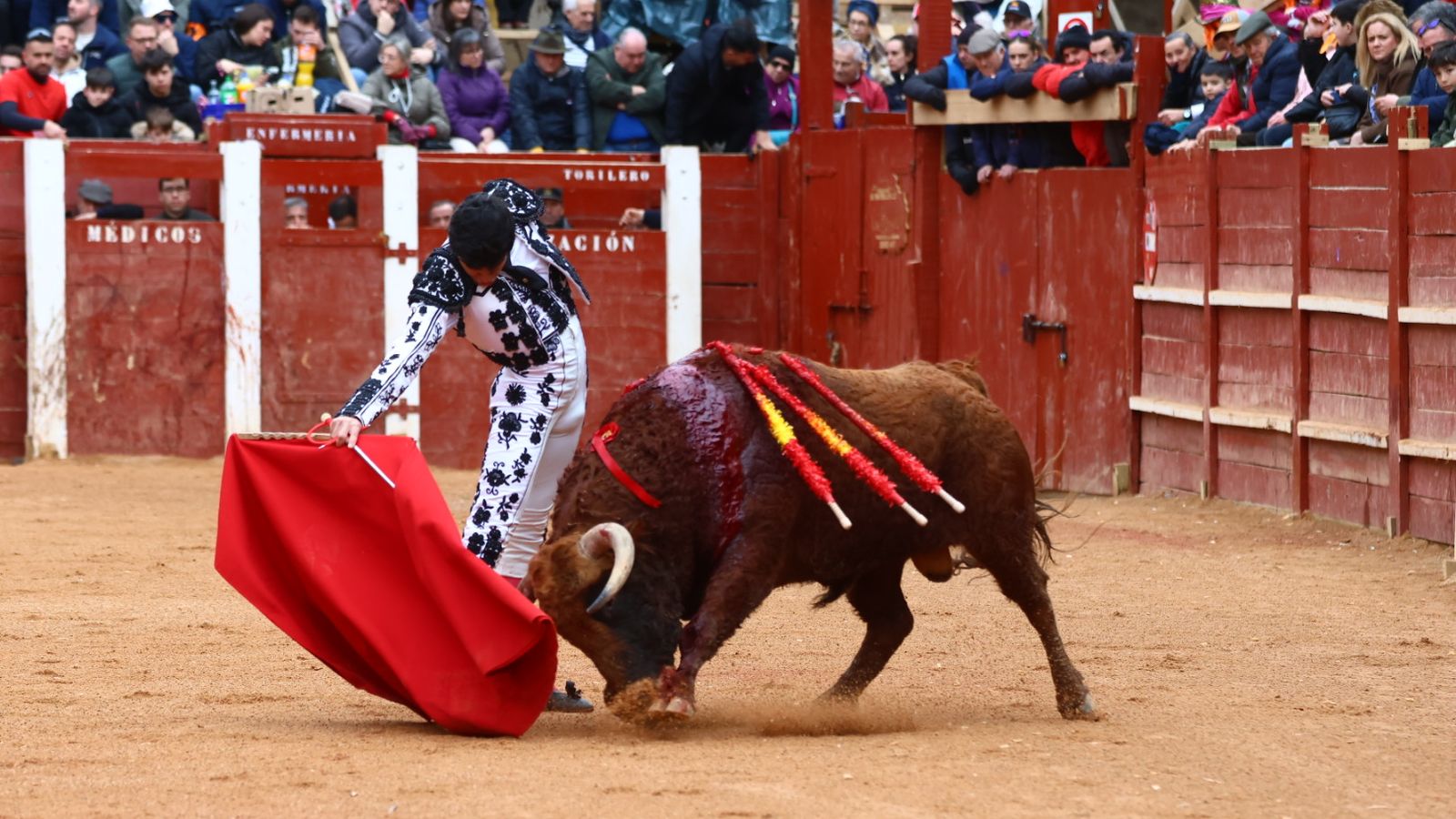 Tomás Bastos en la novillada con picadores de lunes en el Carnaval del Toro de Ciudad Rodrigo 2026