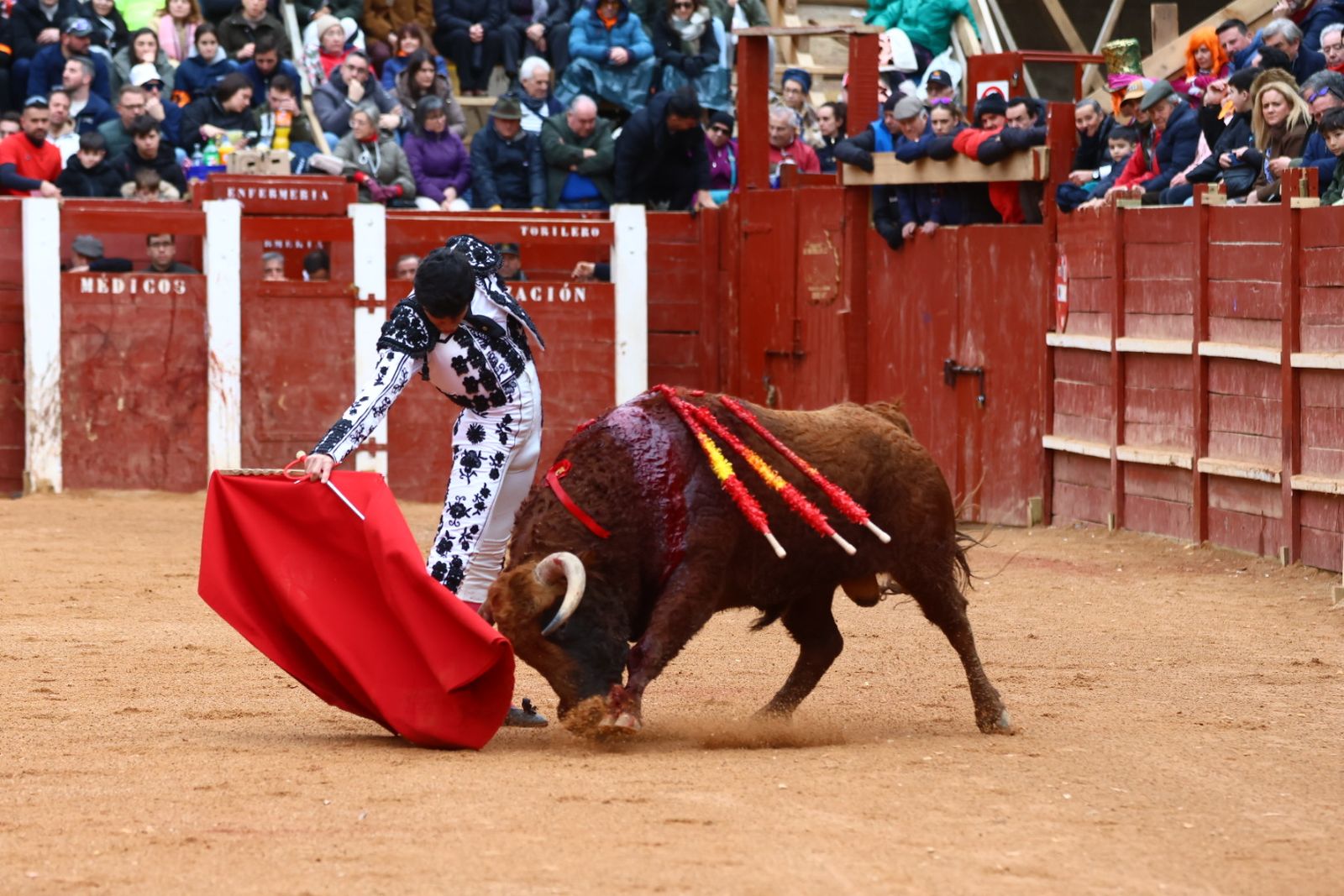 Novillada con picadores de lunes en el Carnaval del Toro de Ciudad Rodrigo 2026