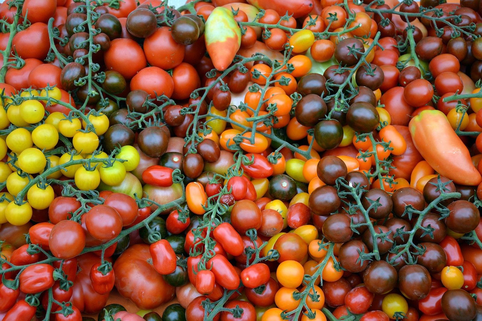 Industria agroalimentaria