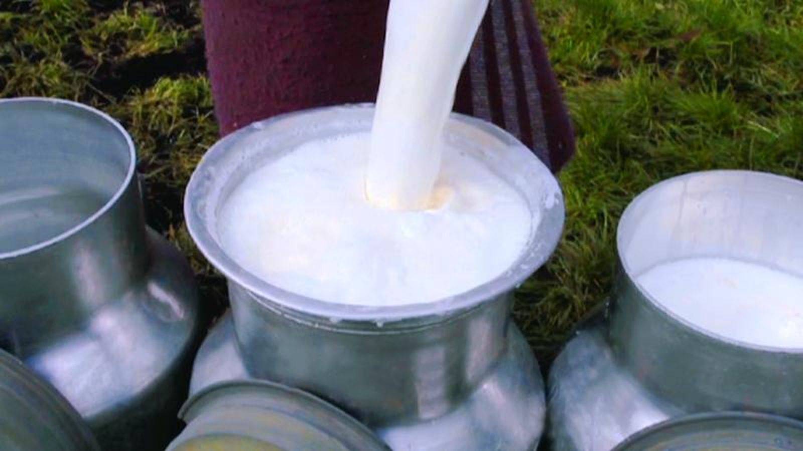 Leche recién ordeñada