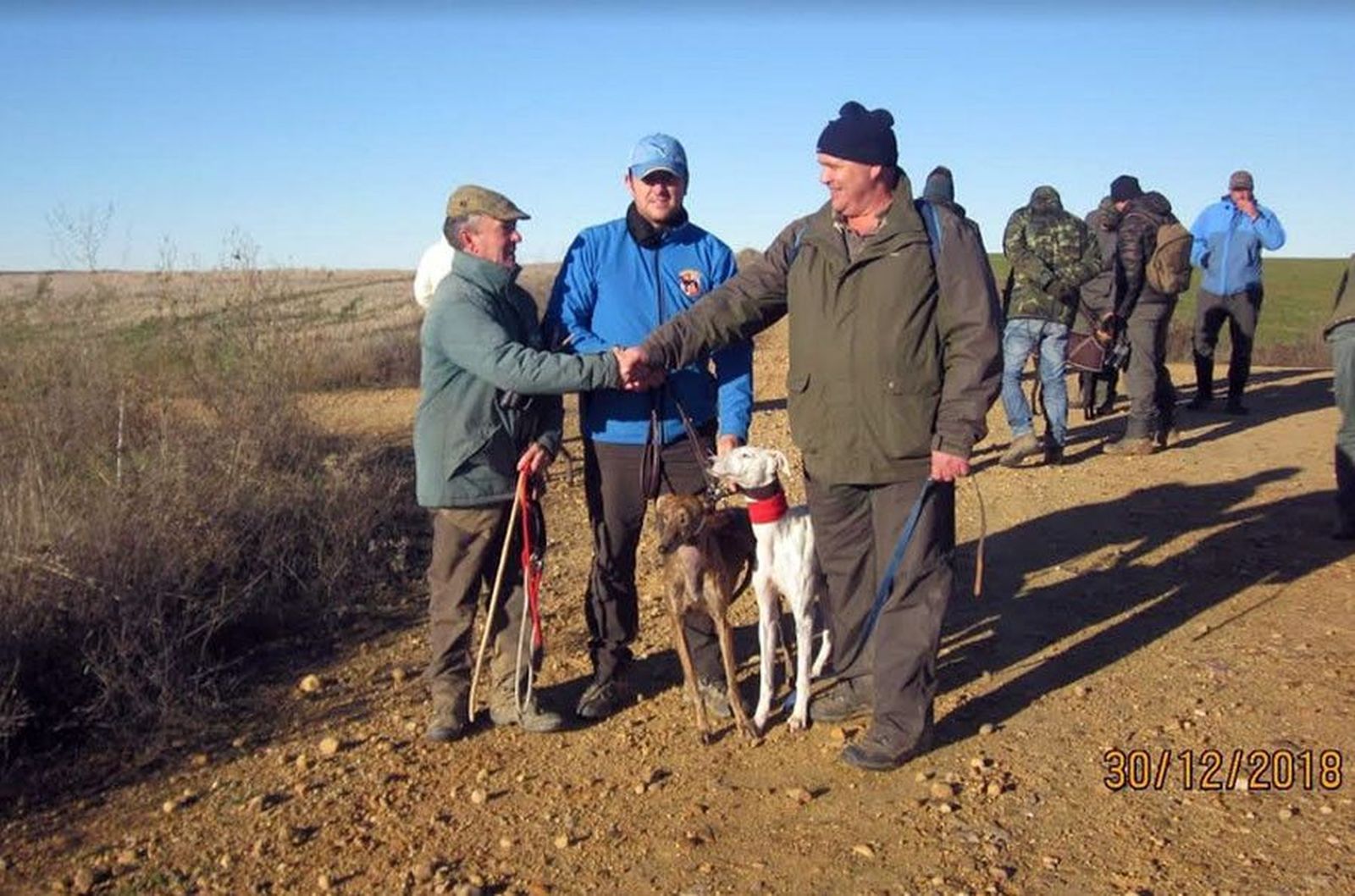 Cuartos final copa zamora galgos
