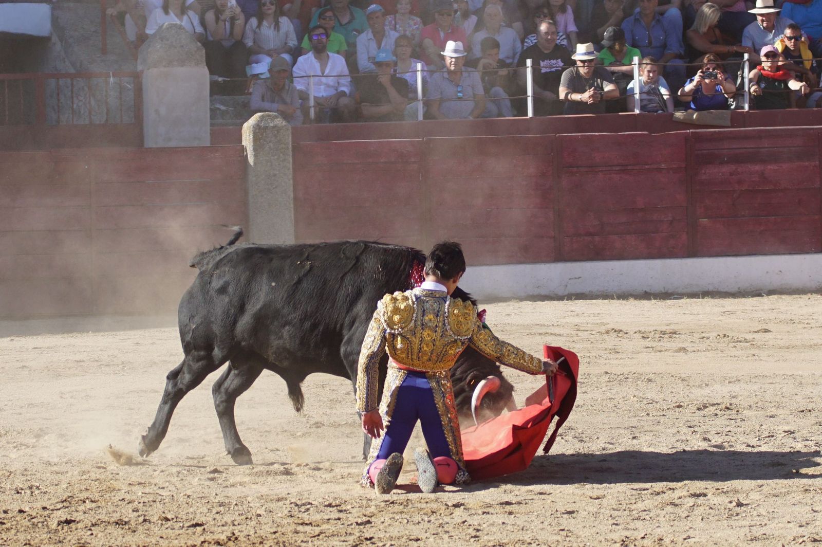 whatsapp-image-2024-06-02-at-22-12-12