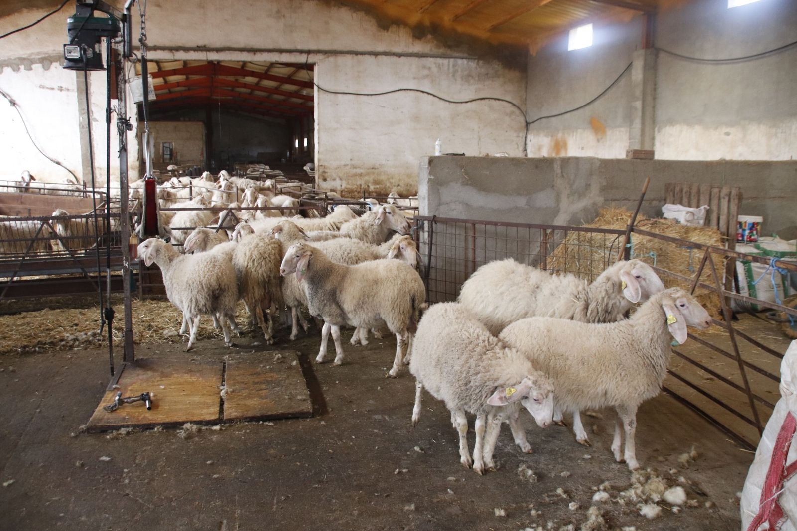 20220520102743-mg-8462