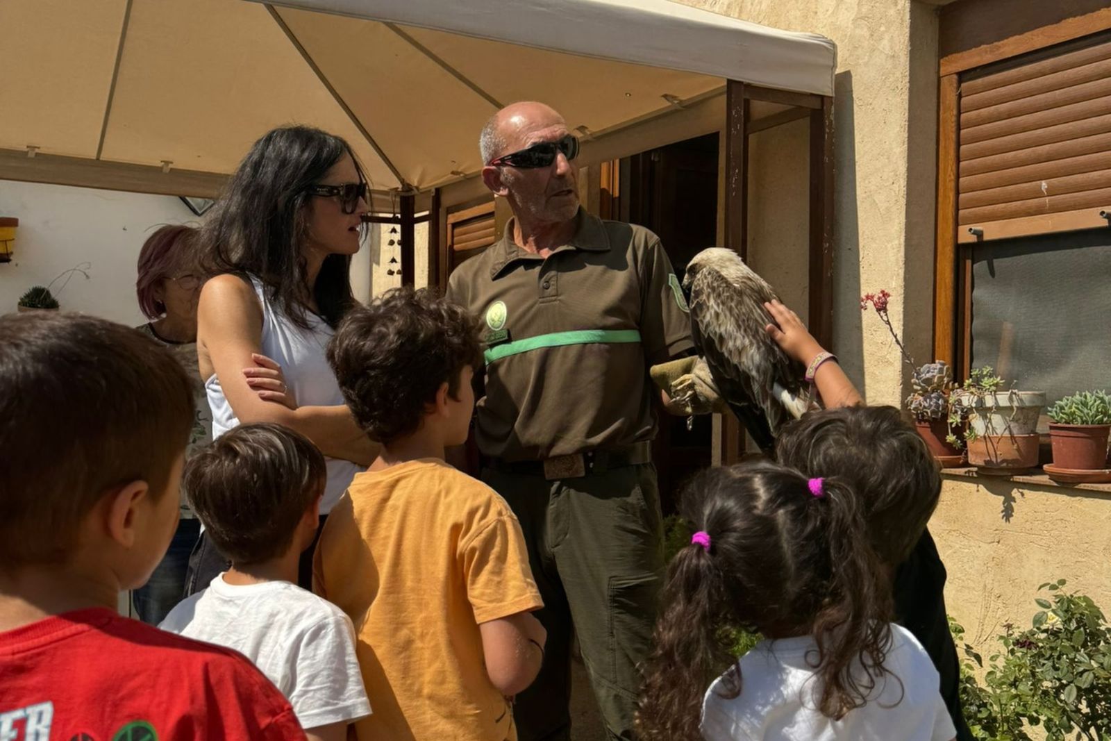 Vecinos de Vega de Villalobos rescatan un águila calzada enferma que no podía volar, caída en el patio de una vivienda