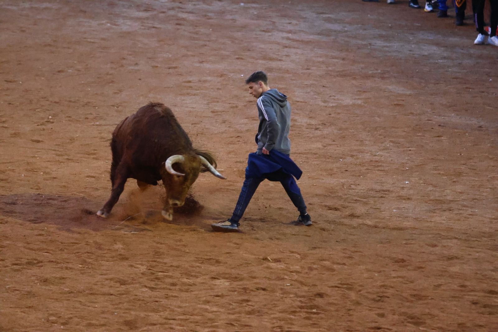 Capea de martes por la tarde en el Carnaval del Toro 2026