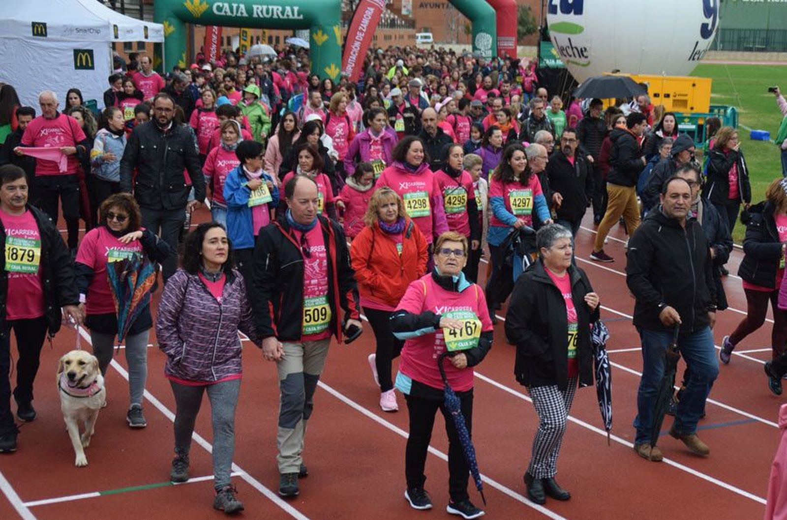 Mucho vivir zamora cancer