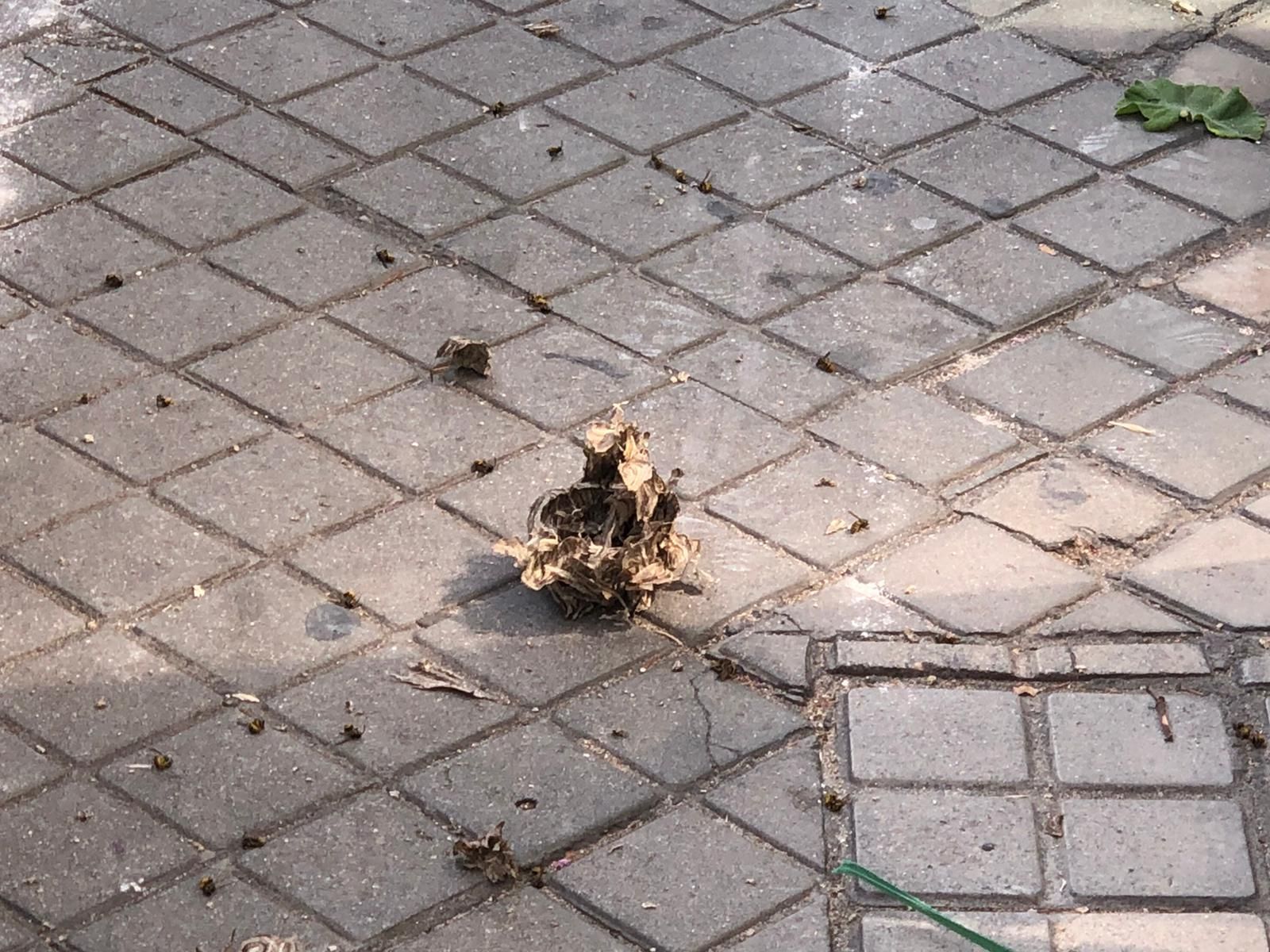 e8e98783-3a37-499e-bd7b-d14591a10a05