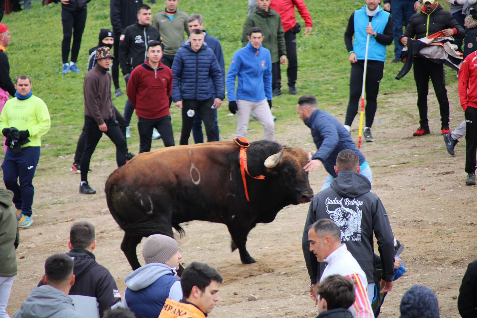 whatsapp-image-2025-03-01-at-11-56-29