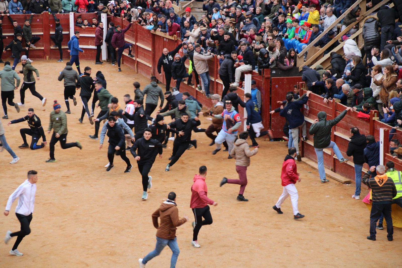 whatsapp-image-2025-03-01-at-13-18-30