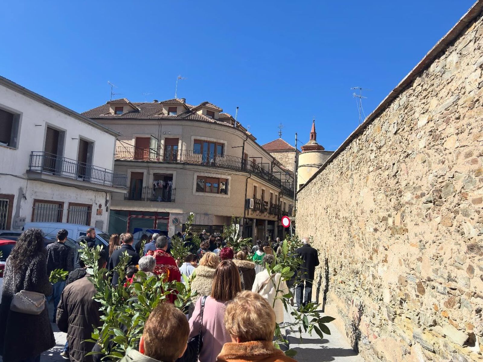 Domingo de Ramos en Alba de Tormes