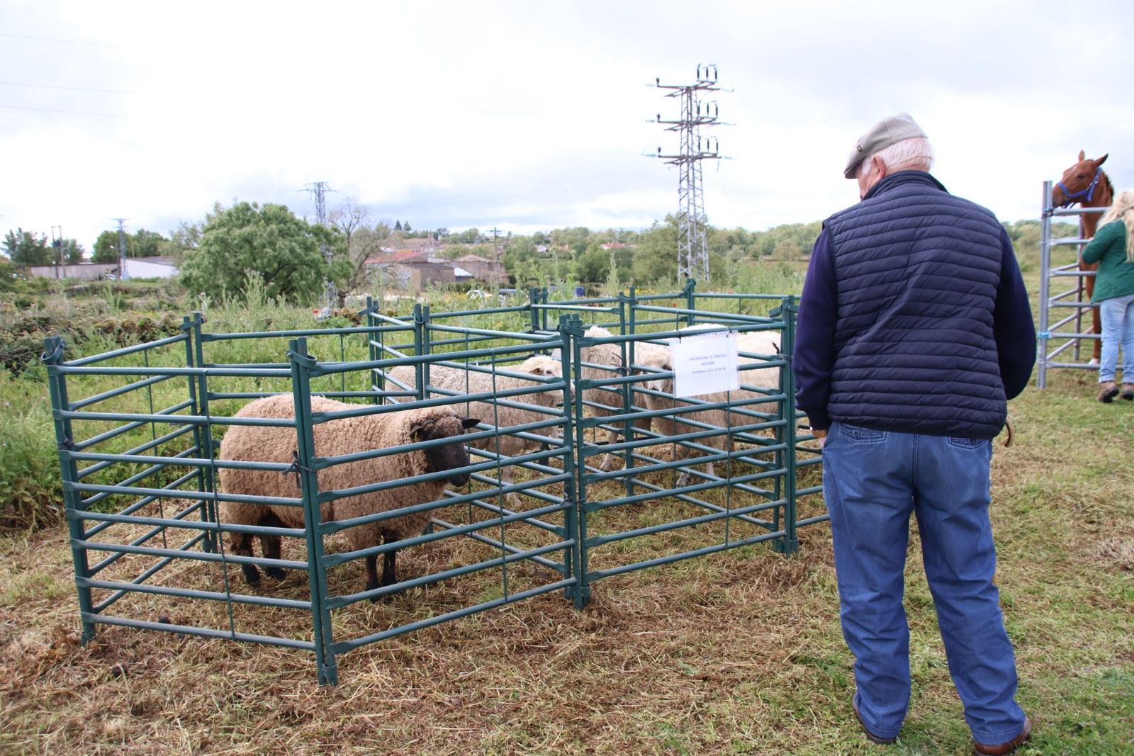 20240501103550-img-2929