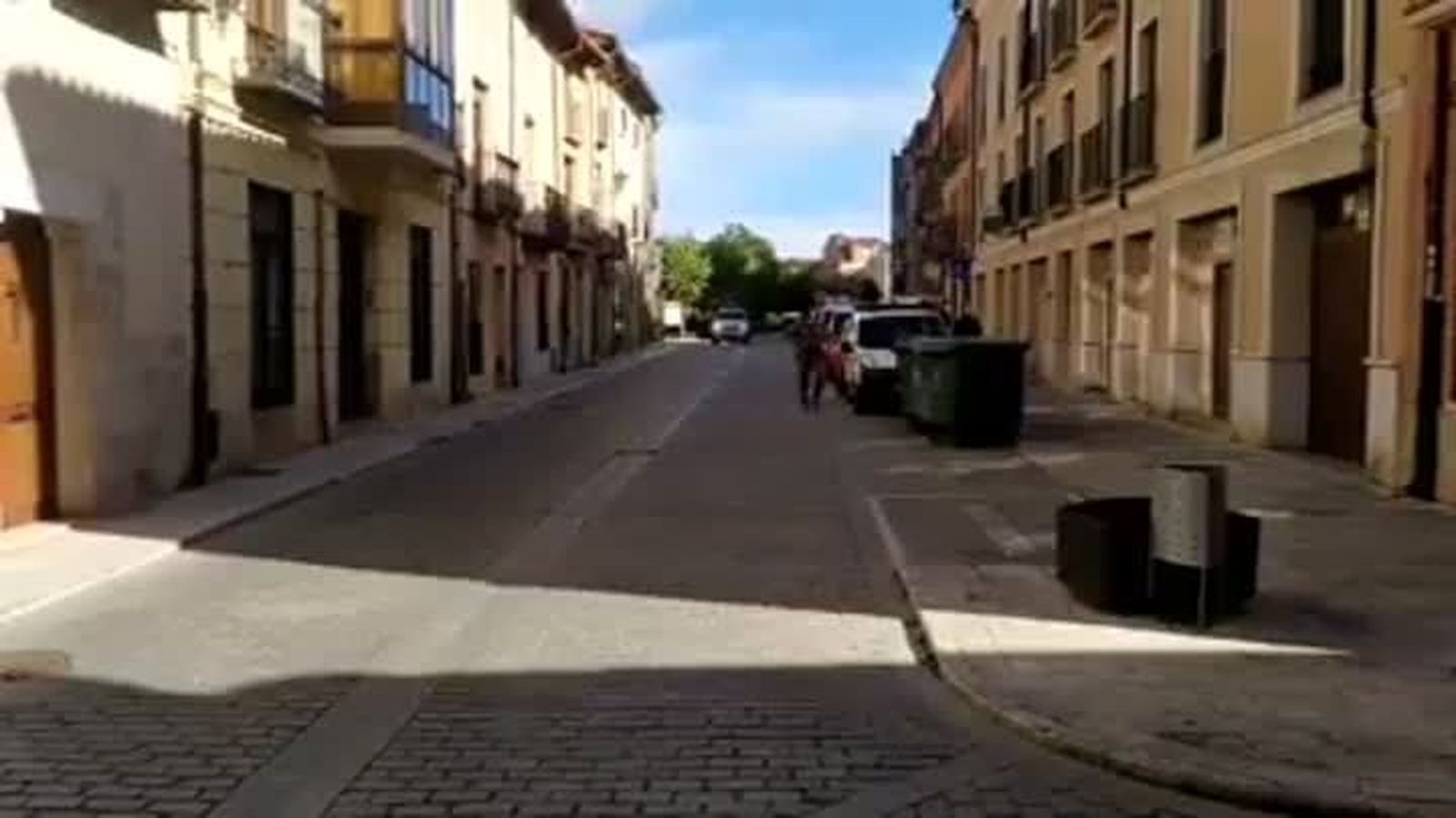 Toro protección civil