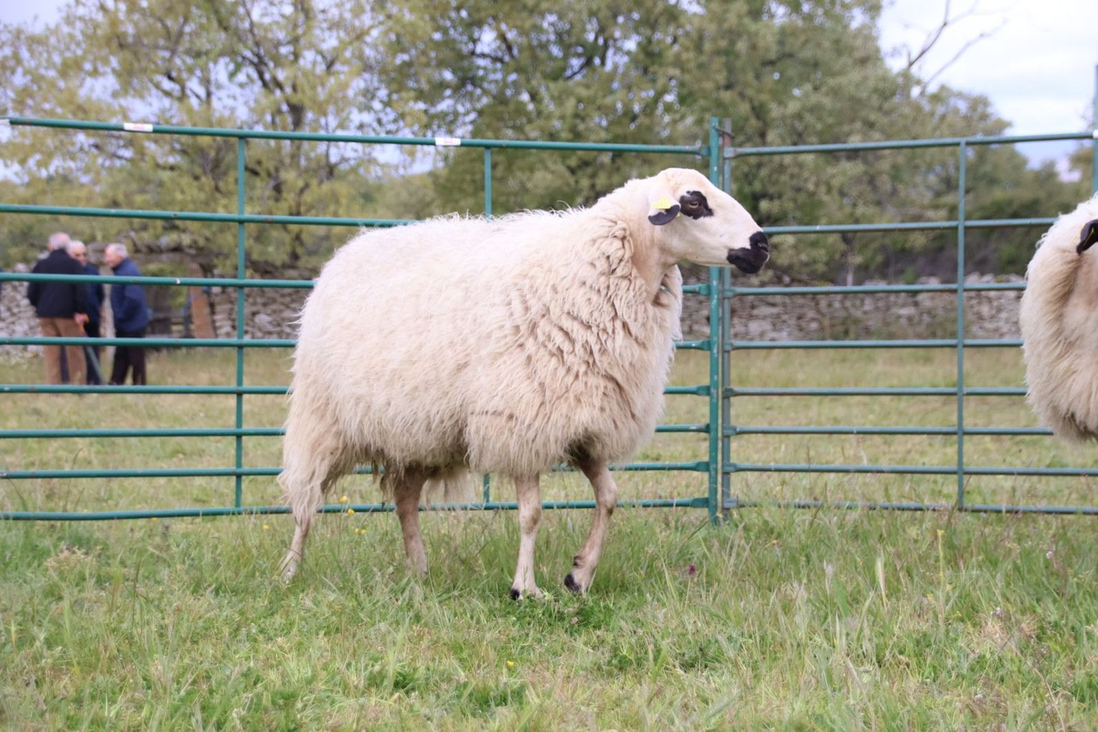 20240501103516-img-2926