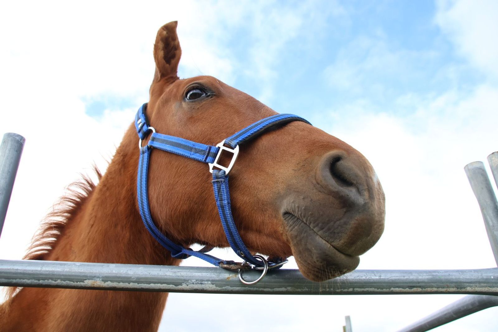 20240501103324-img-2917