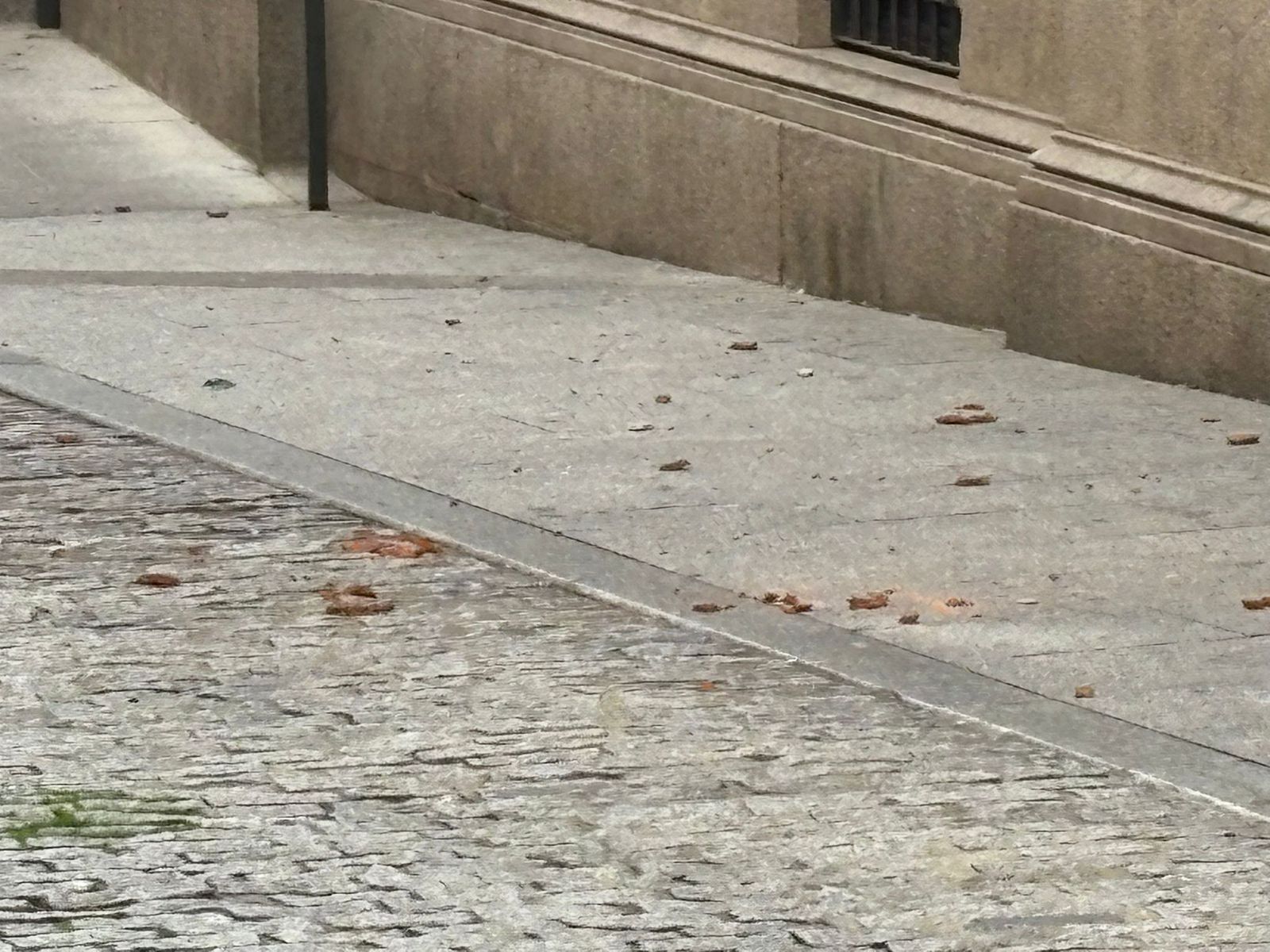 whatsapp-image-2024-10-09-at-11-38-09-1