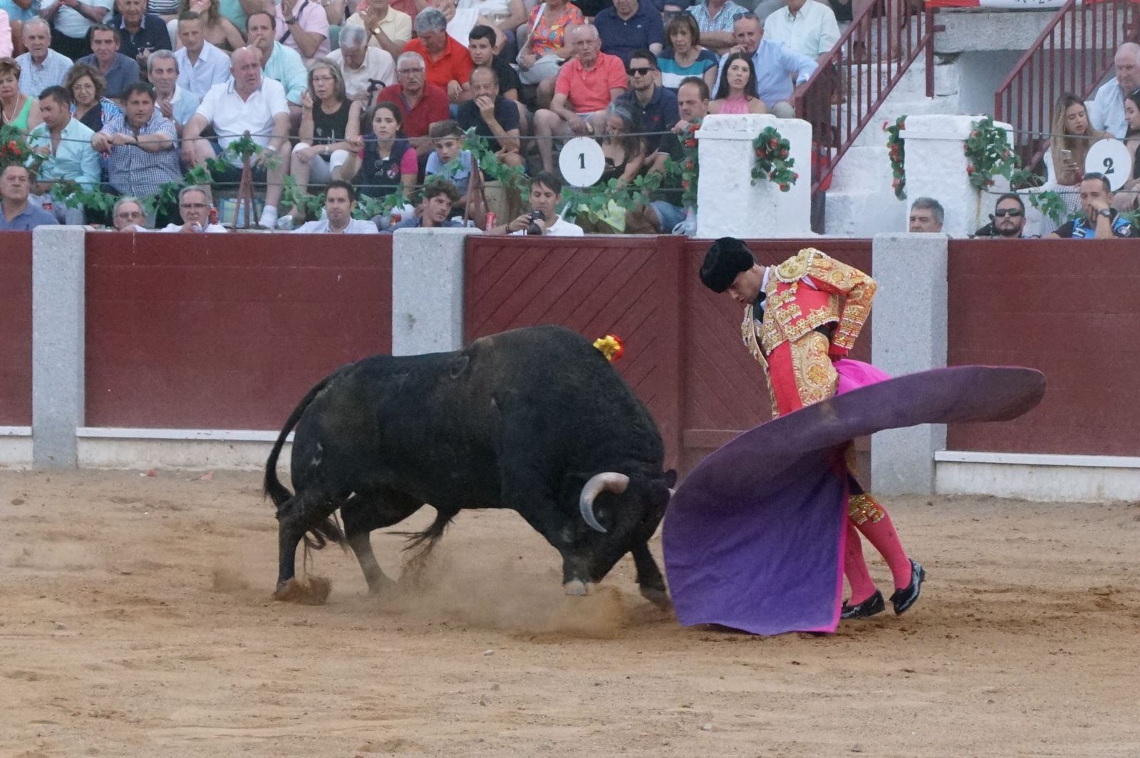 corrida-rejones-guijuelo-31