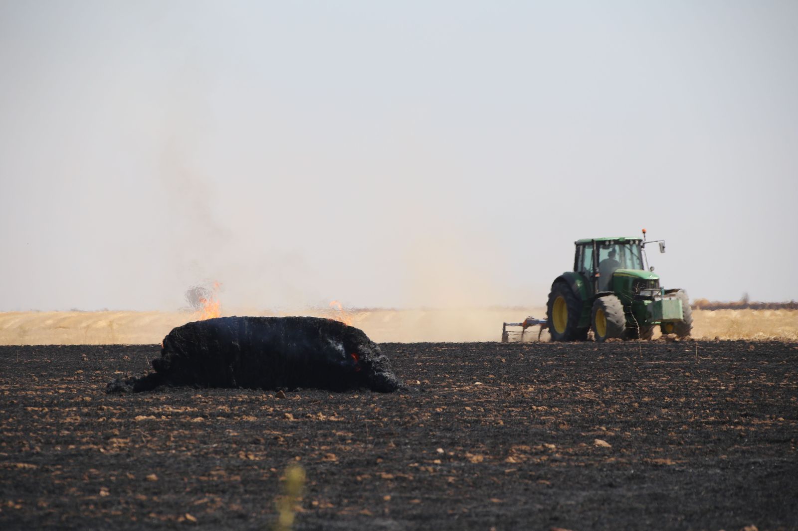 incendio-entre-muelas-del-pan-y-villaseco-foto-jl-leal-ical-4