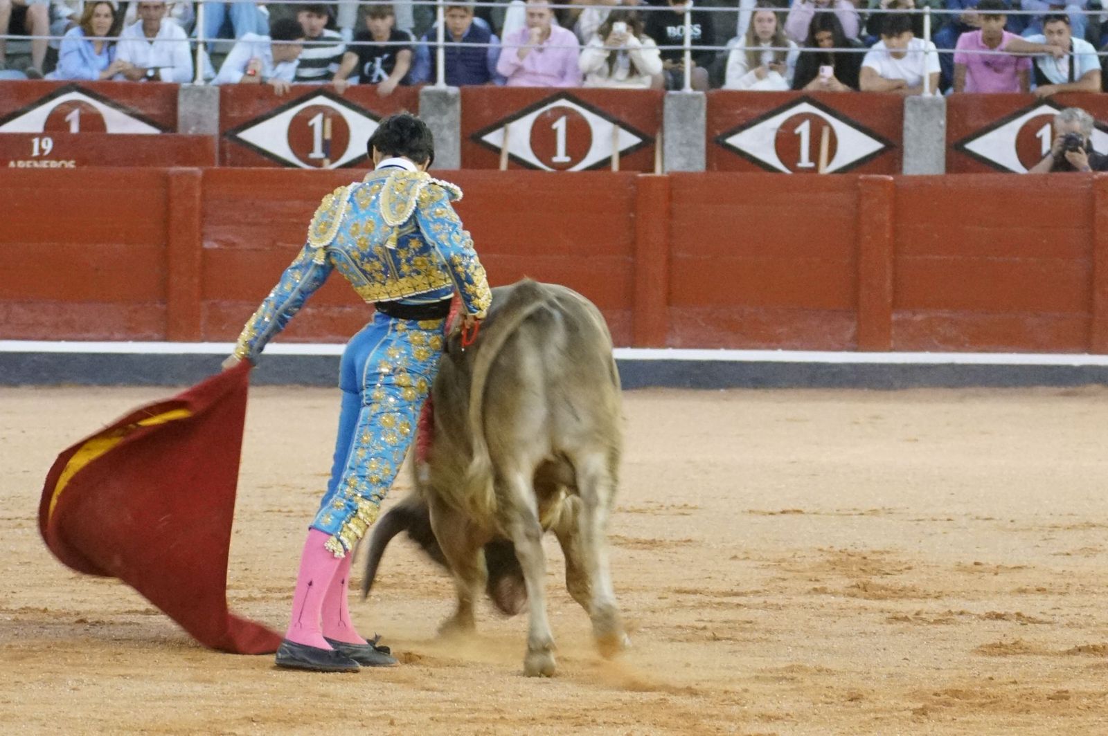 Clase práctica con alumnos de la Escuela de Tauromaquia de Salamanca (Diego Mateos, Noel García y Álvaro Rojo con erales de Esteban Isidro)