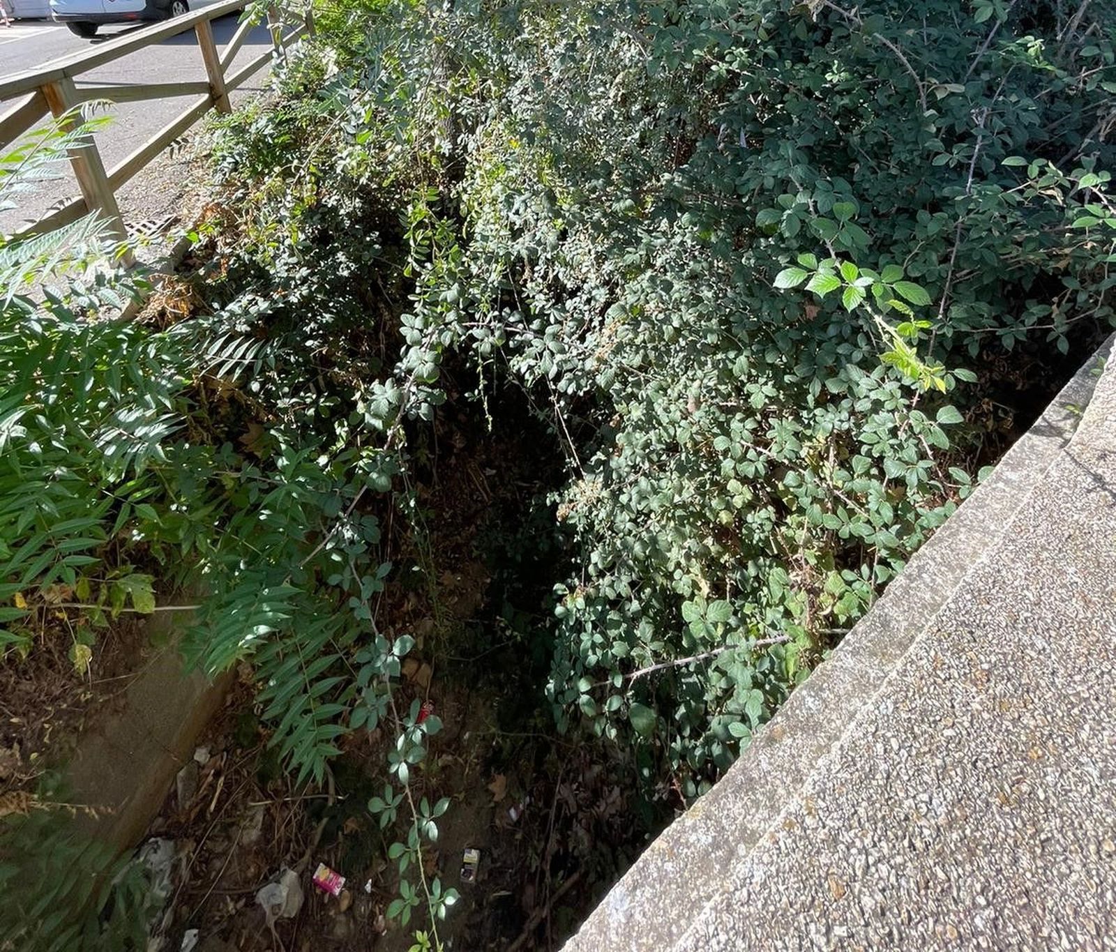 denuncian-el-estado-del-regato-situado-en-el-parque-lazarillo-de-tormes-de-tejares-10