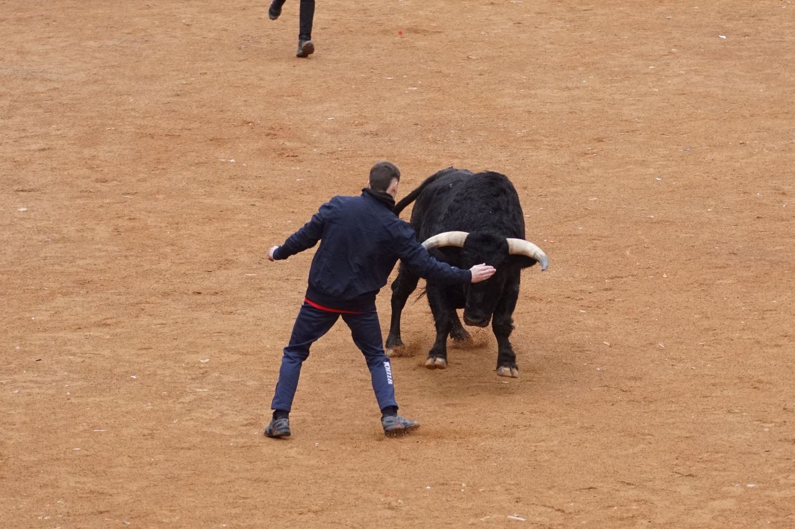Capea matinal de domingo de carnaval en Ciudad Rodrigo (30).jpeg