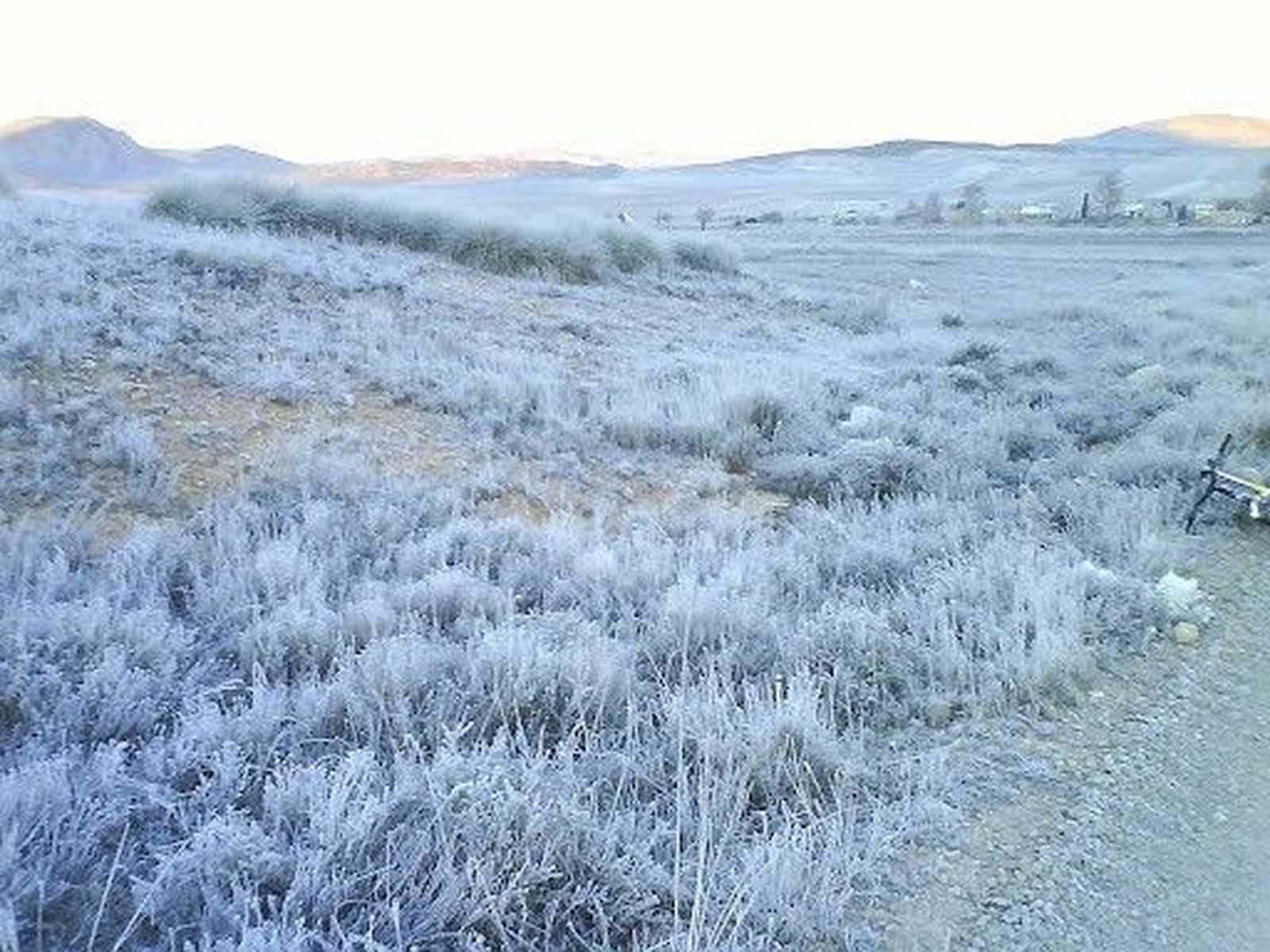 frío, nieve, heladas
