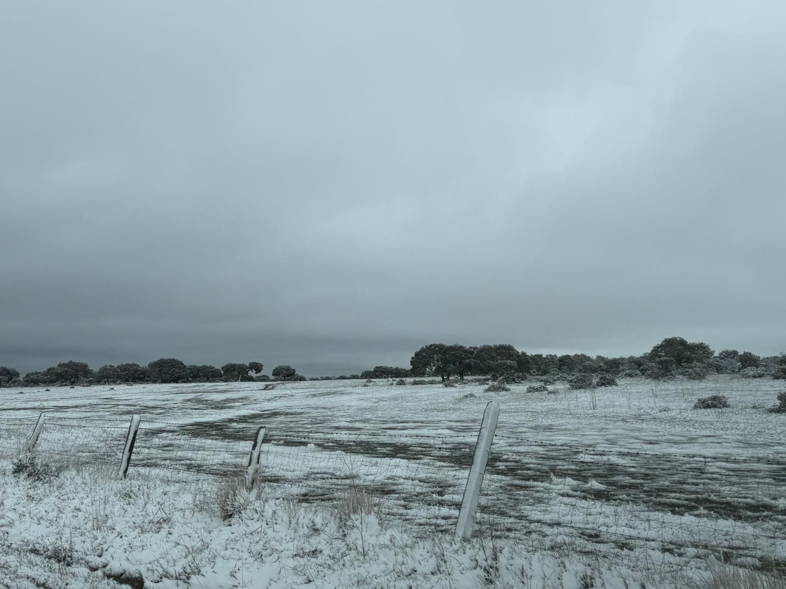 Nieve en Cuatro Calzadas, Pereña y Guijuelo este sábado