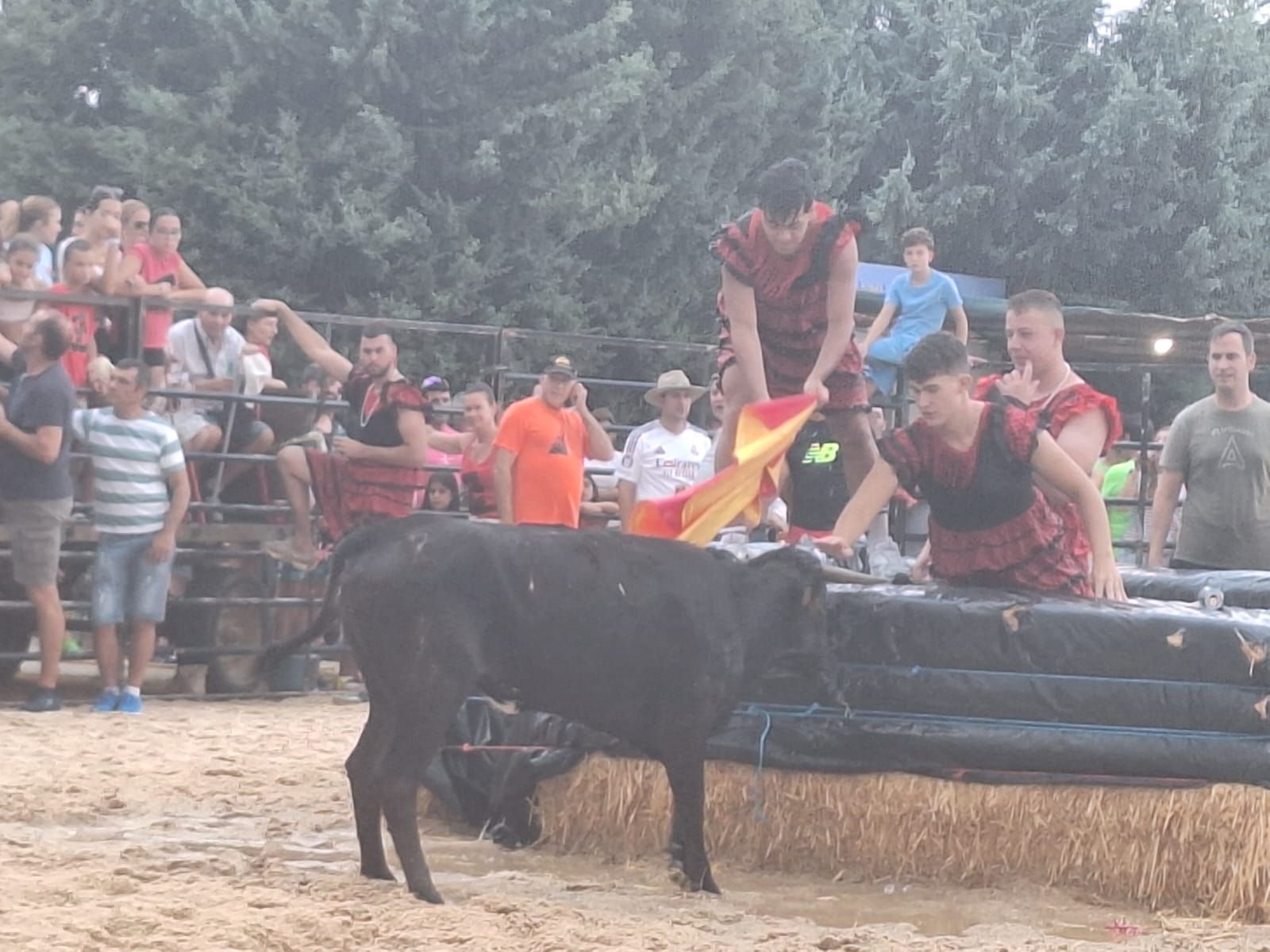 Cientos de personas disfrutan de las vaquillas de Valdelosa