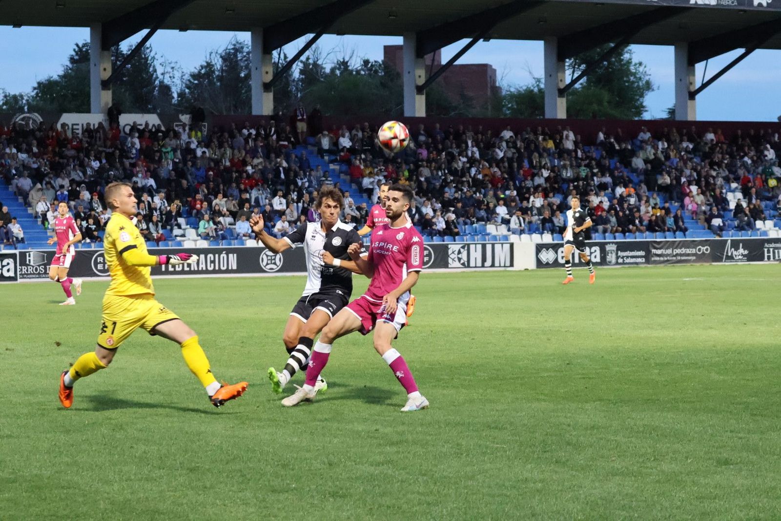 20230902195719-img-7448