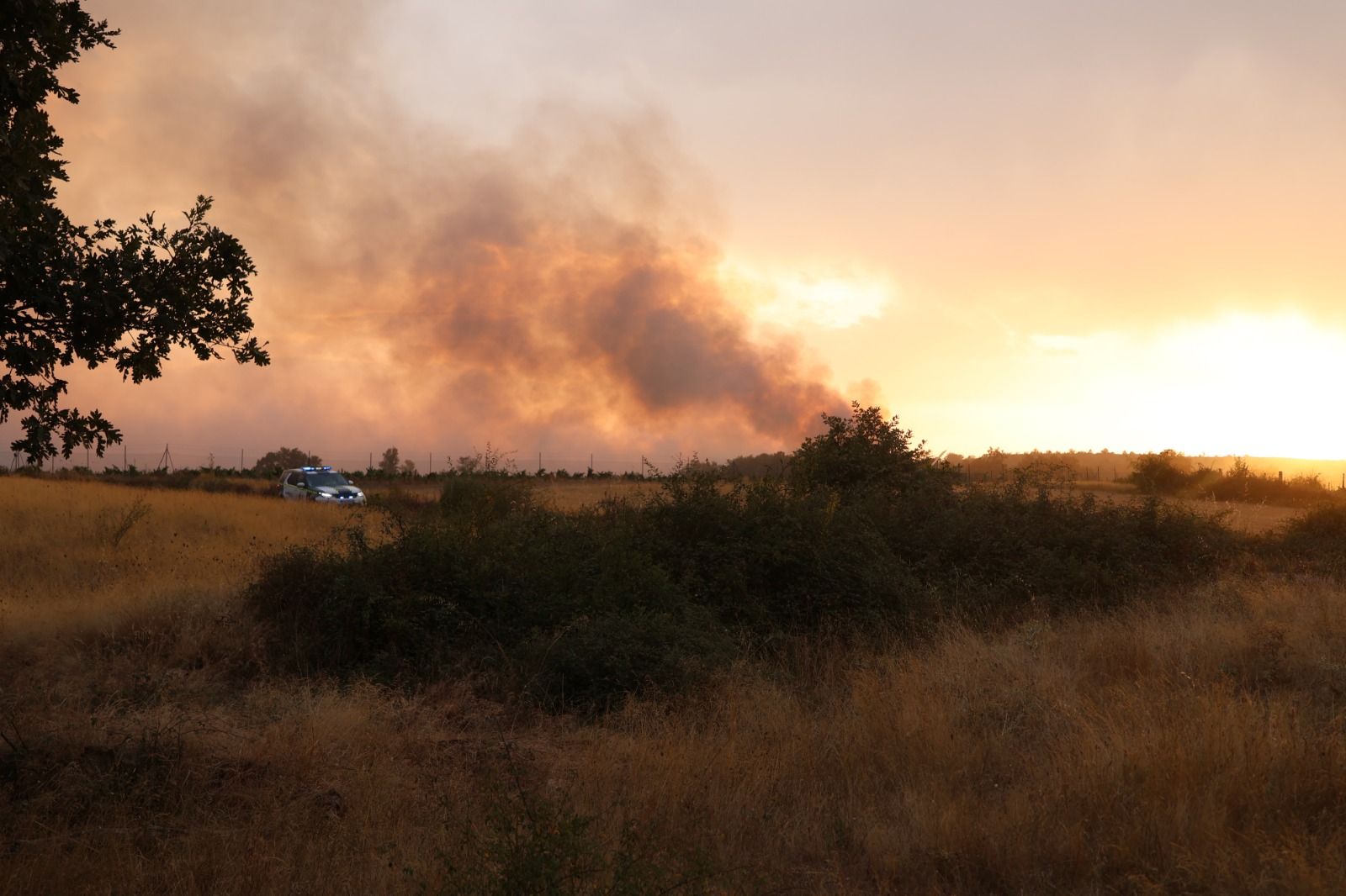 Incendio de Puercas