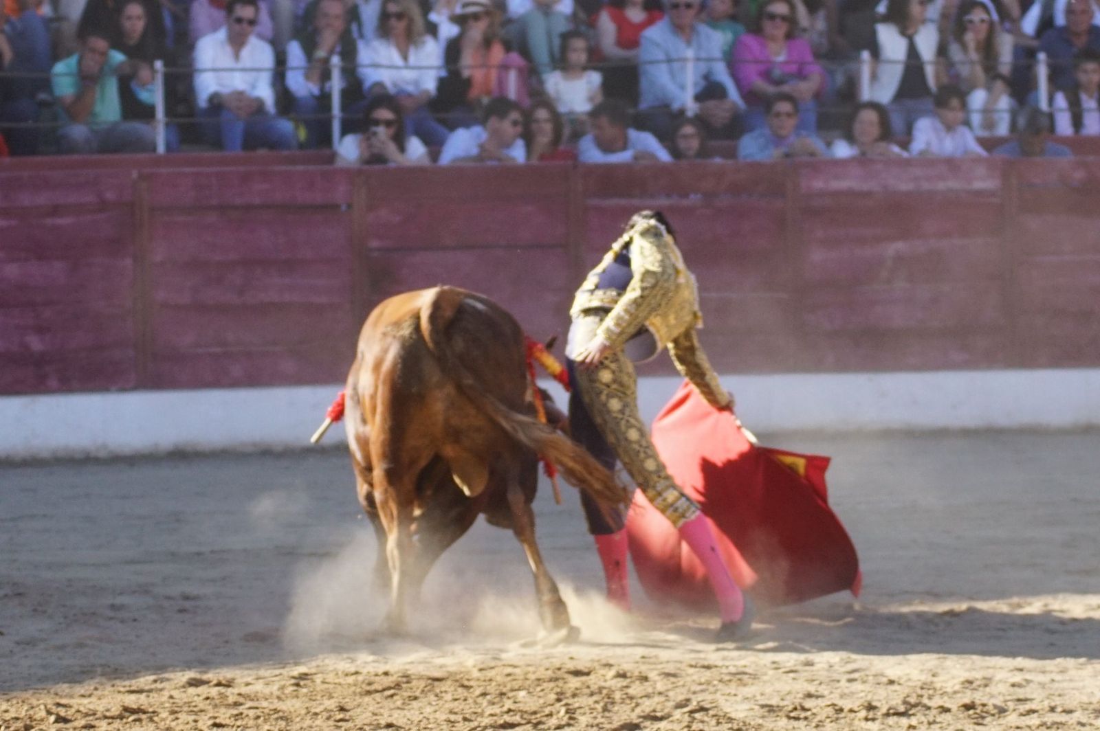 whatsapp-image-2024-06-02-at-22-11-56