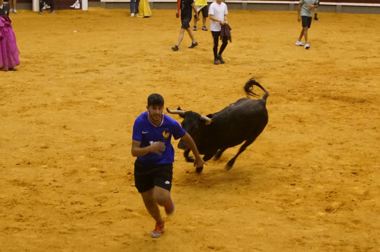 Multitudinario encierro nocturno en Alba de Tormes