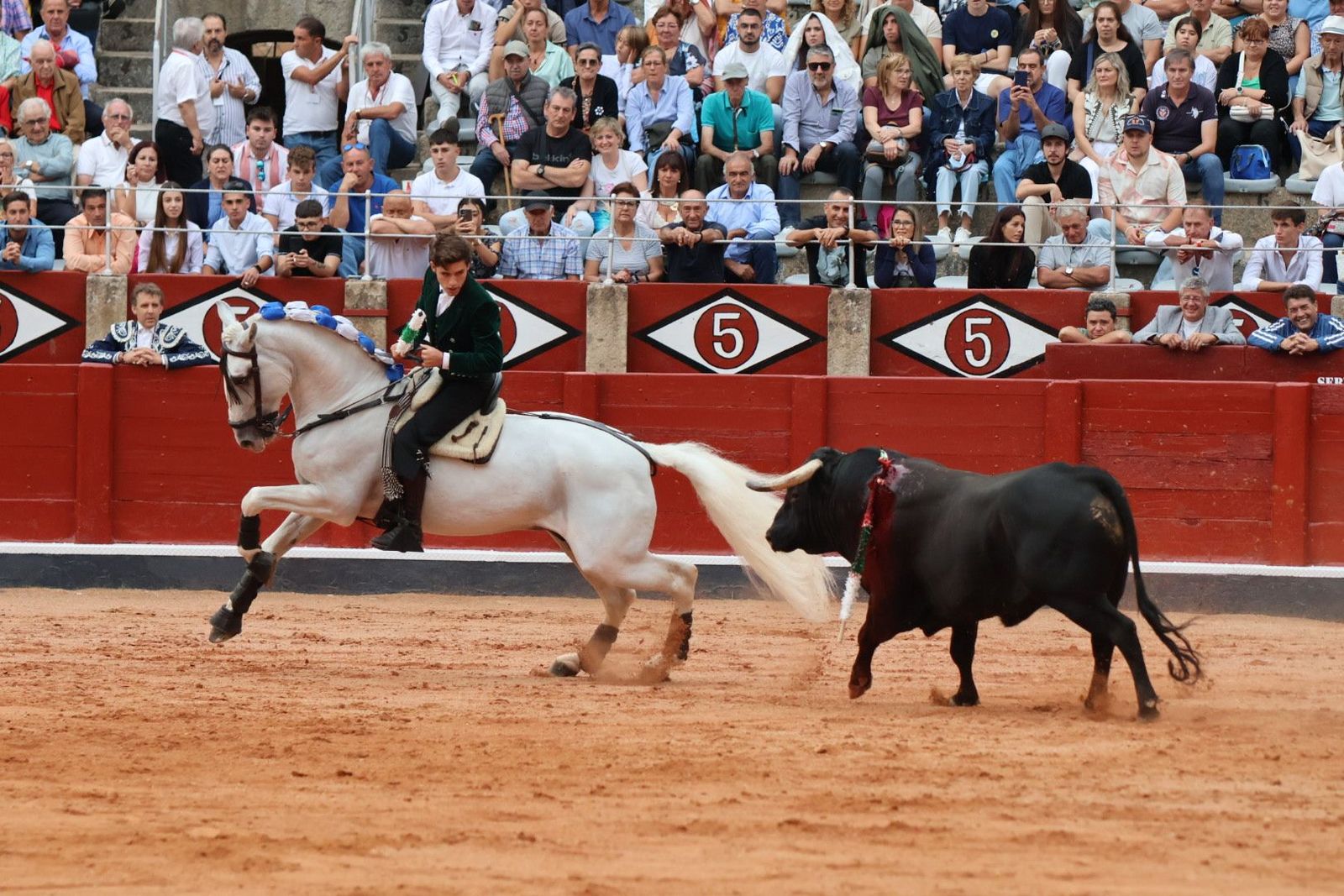 20230909190203-img-0782