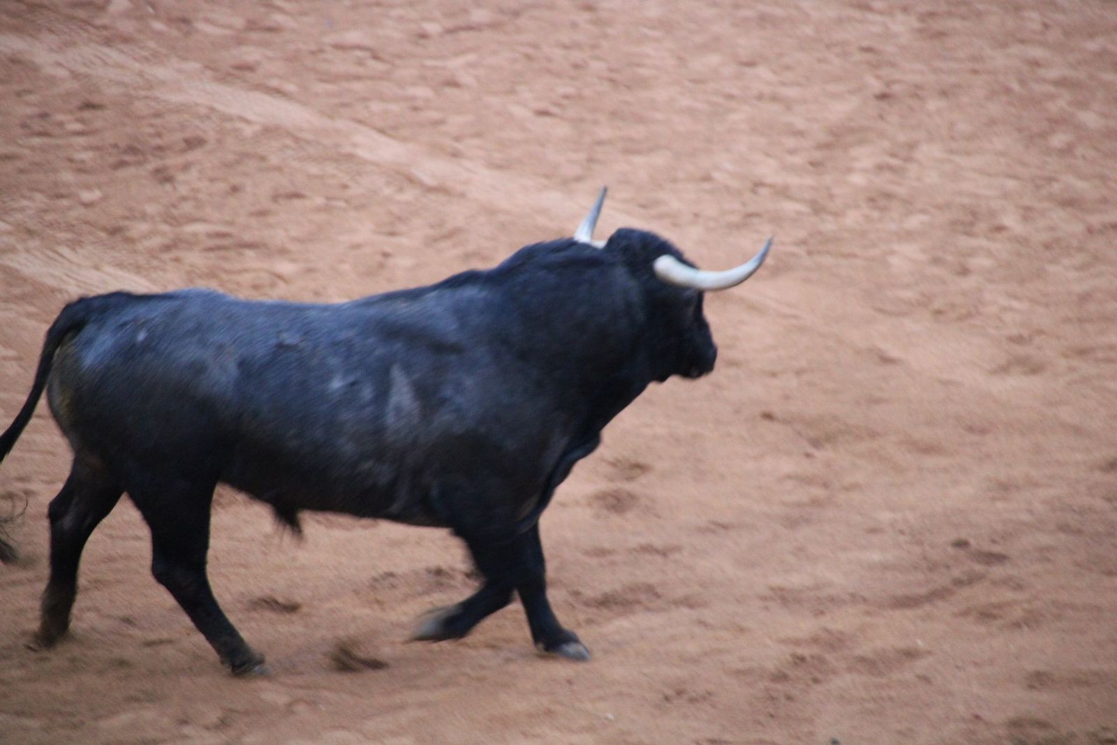 whatsapp-image-2025-03-02-at-19-32-35