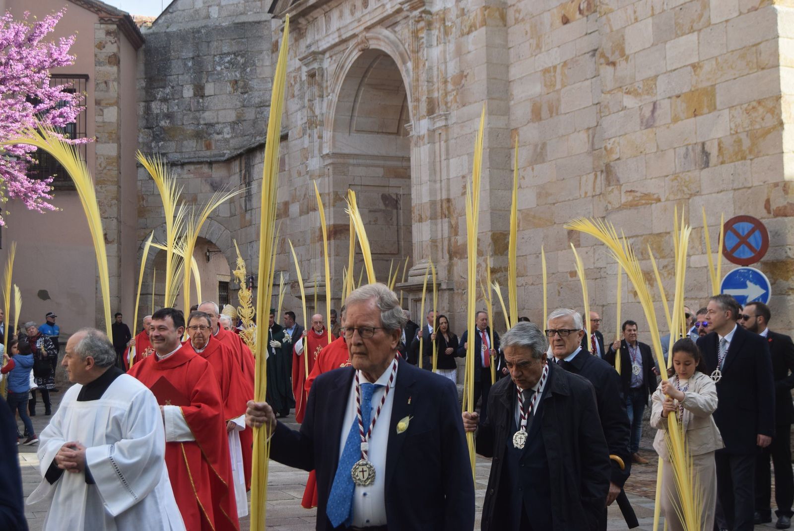 Bendición de palmas del Domingo de Ramos 2025