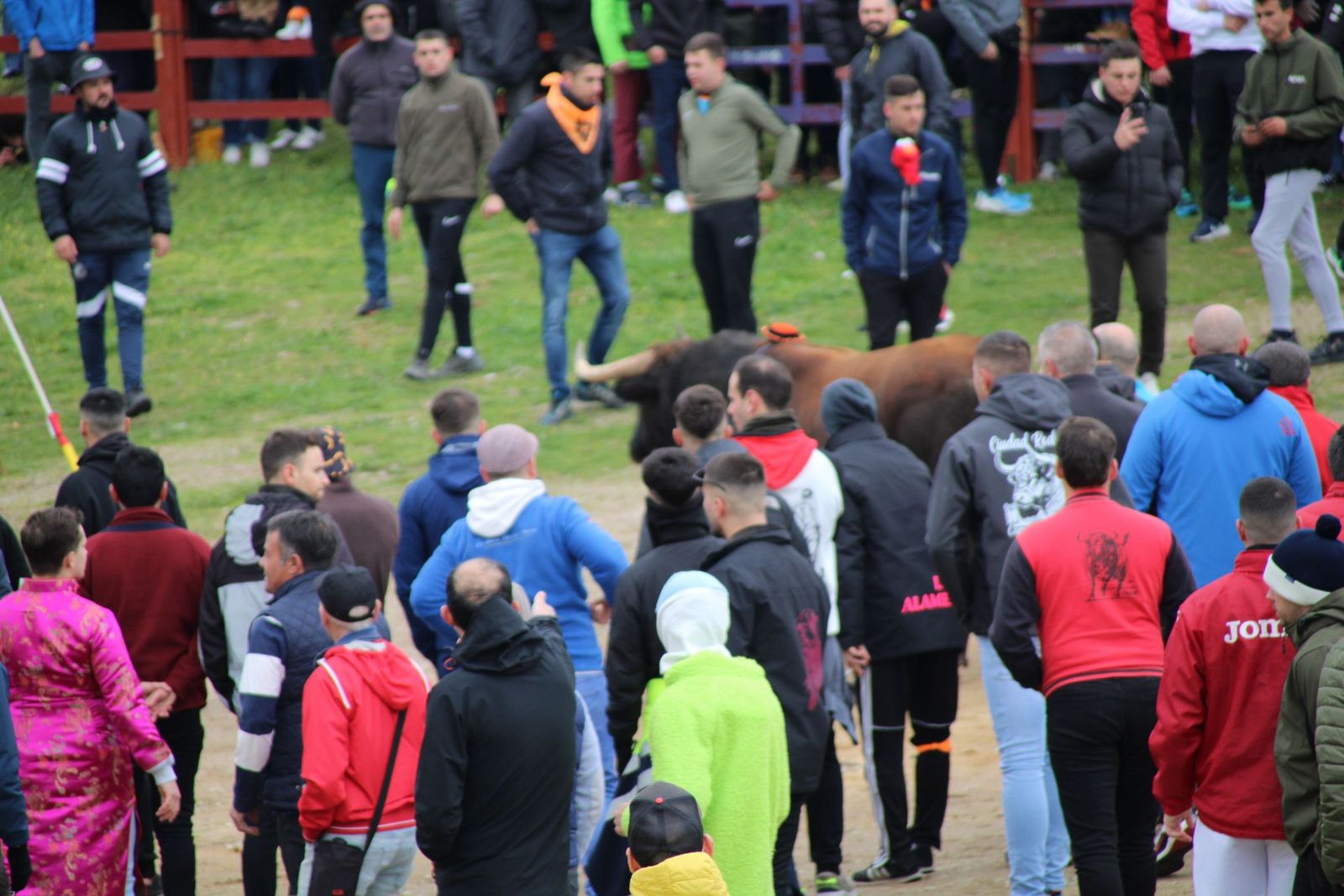 whatsapp-image-2025-03-01-at-11-56-32