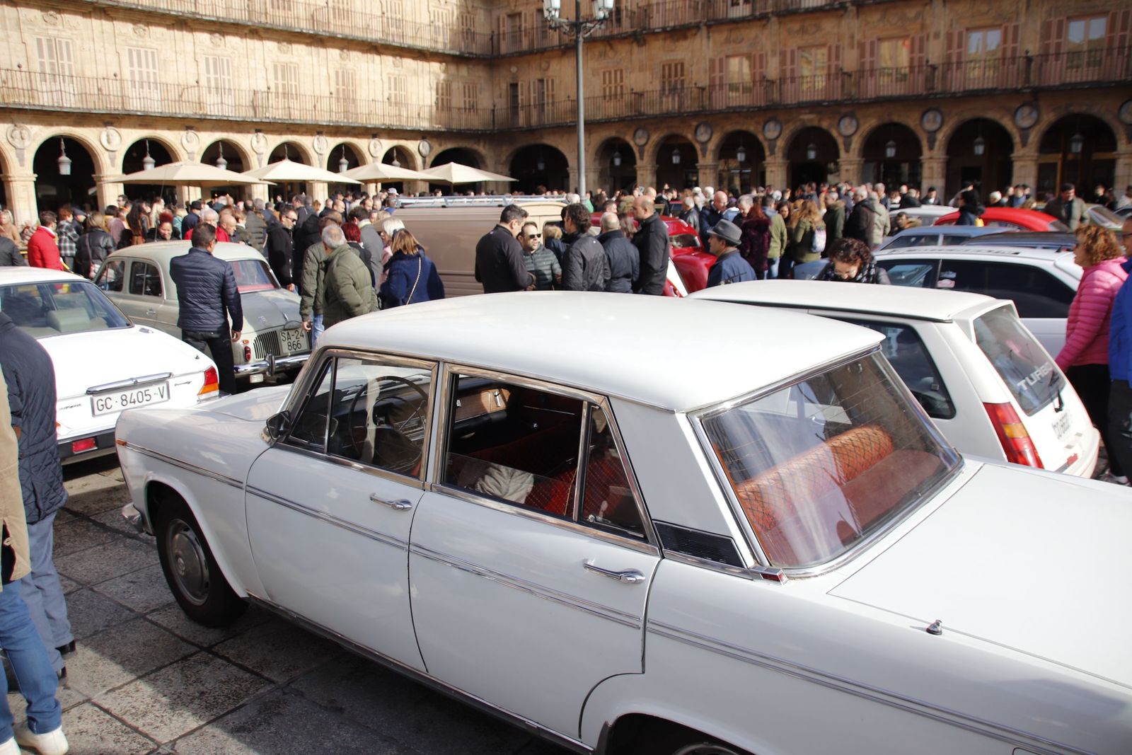 20221218135033-mg-8663