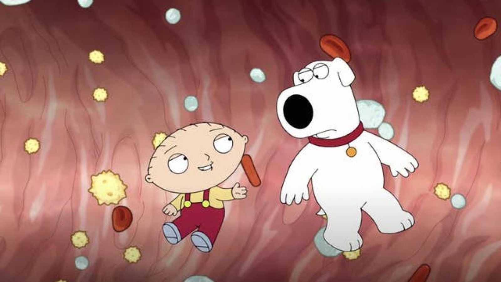 Fotograma del vídeo