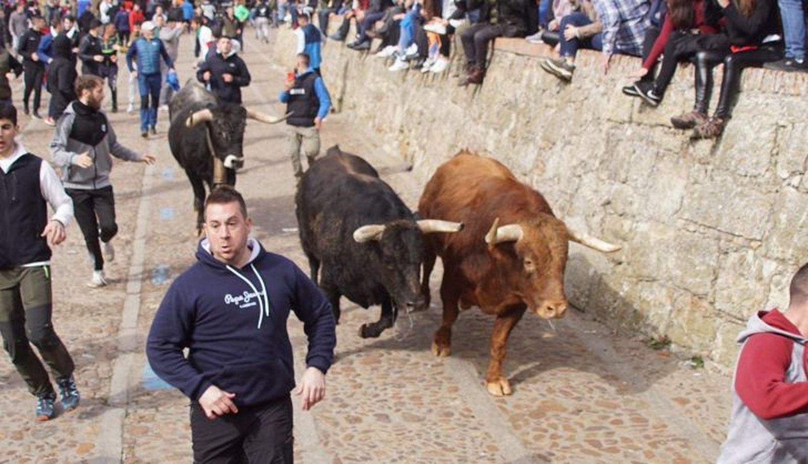 Encierro urbano de Ciudad Rodrigo