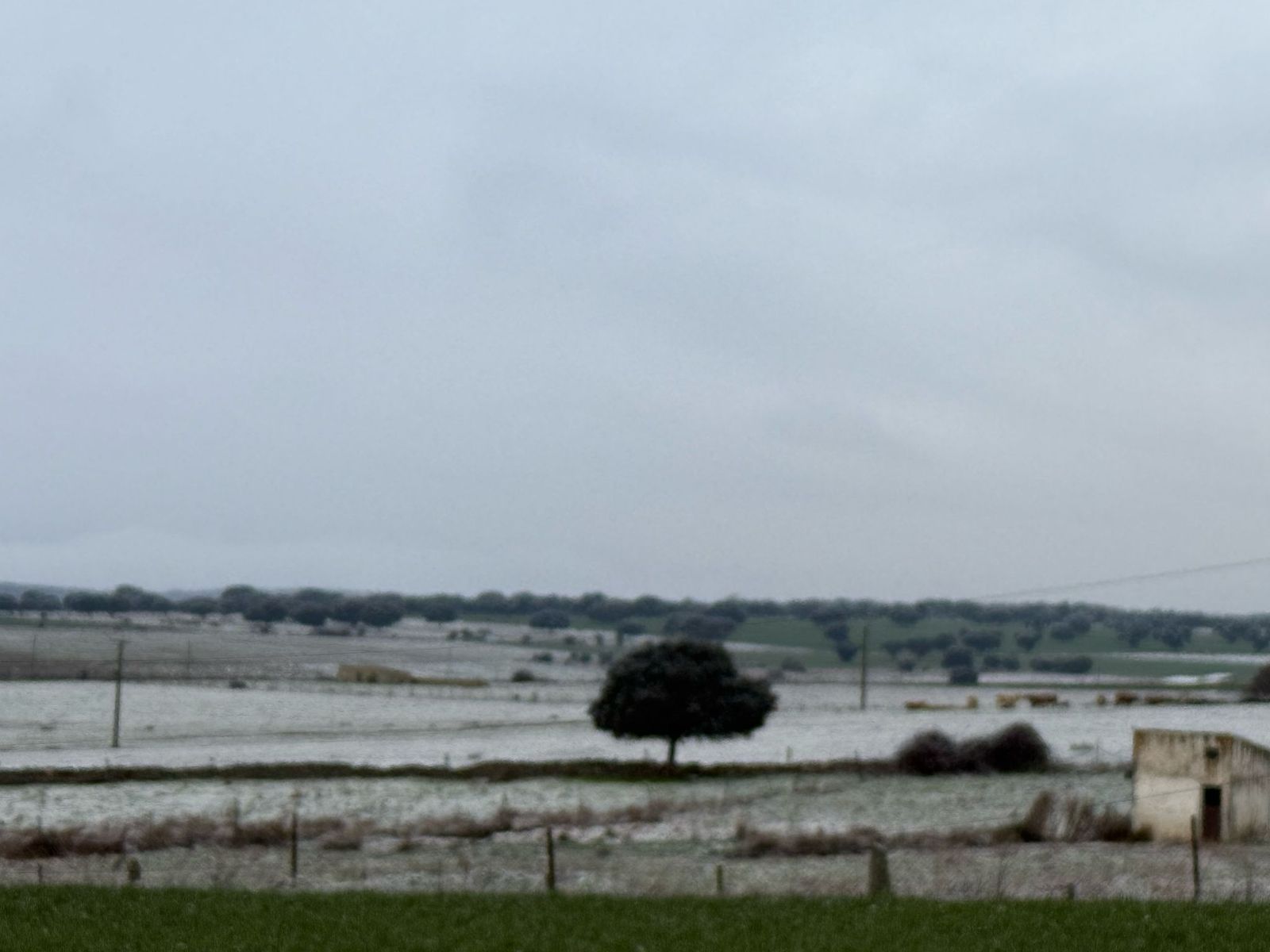 nieve-en-monterrubio-y-cuatro-calzadas-4