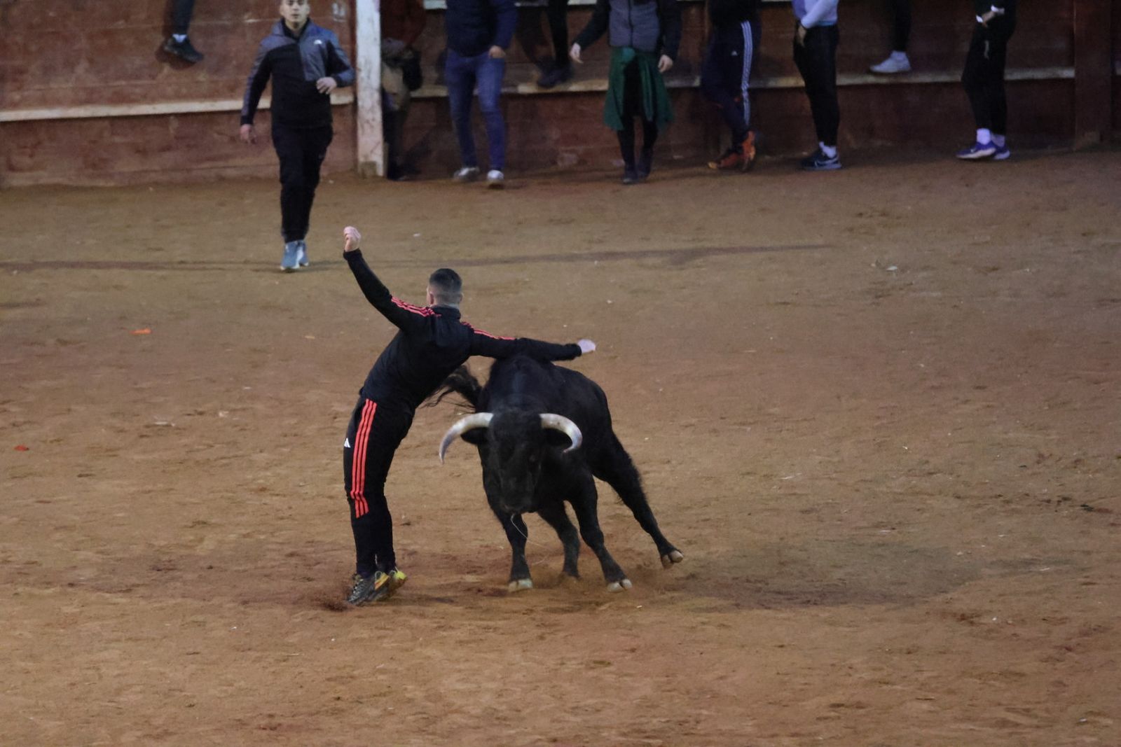 Capea y desencierro de domingo tarde en el Carnaval del Toro 2026
